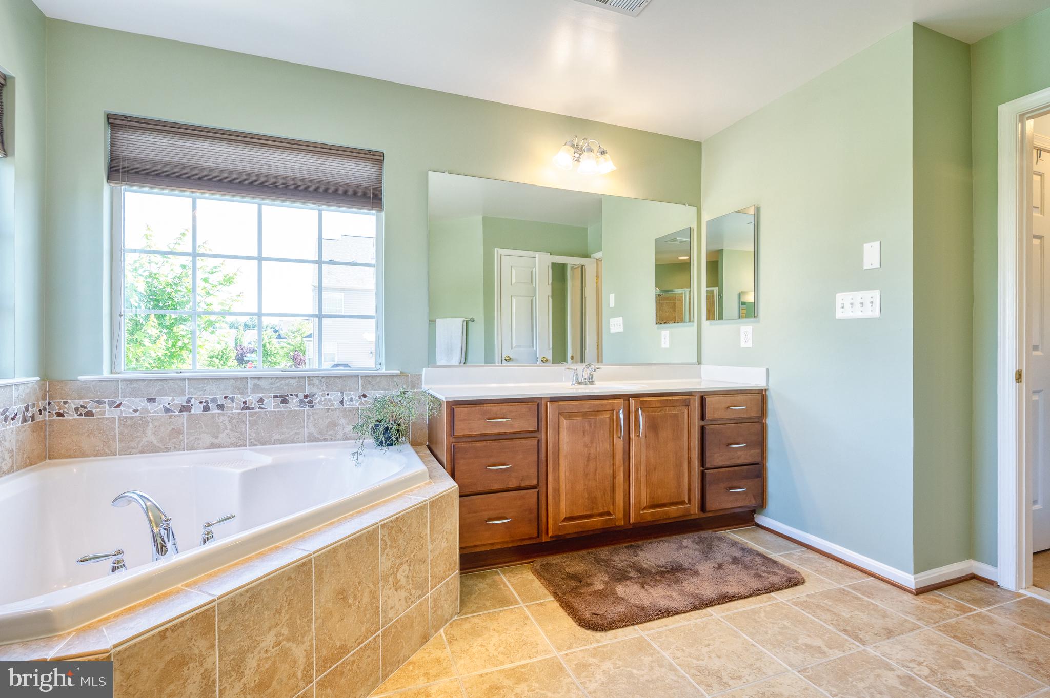 THE PARKE AT MOUNT WASHINGTON - Residential