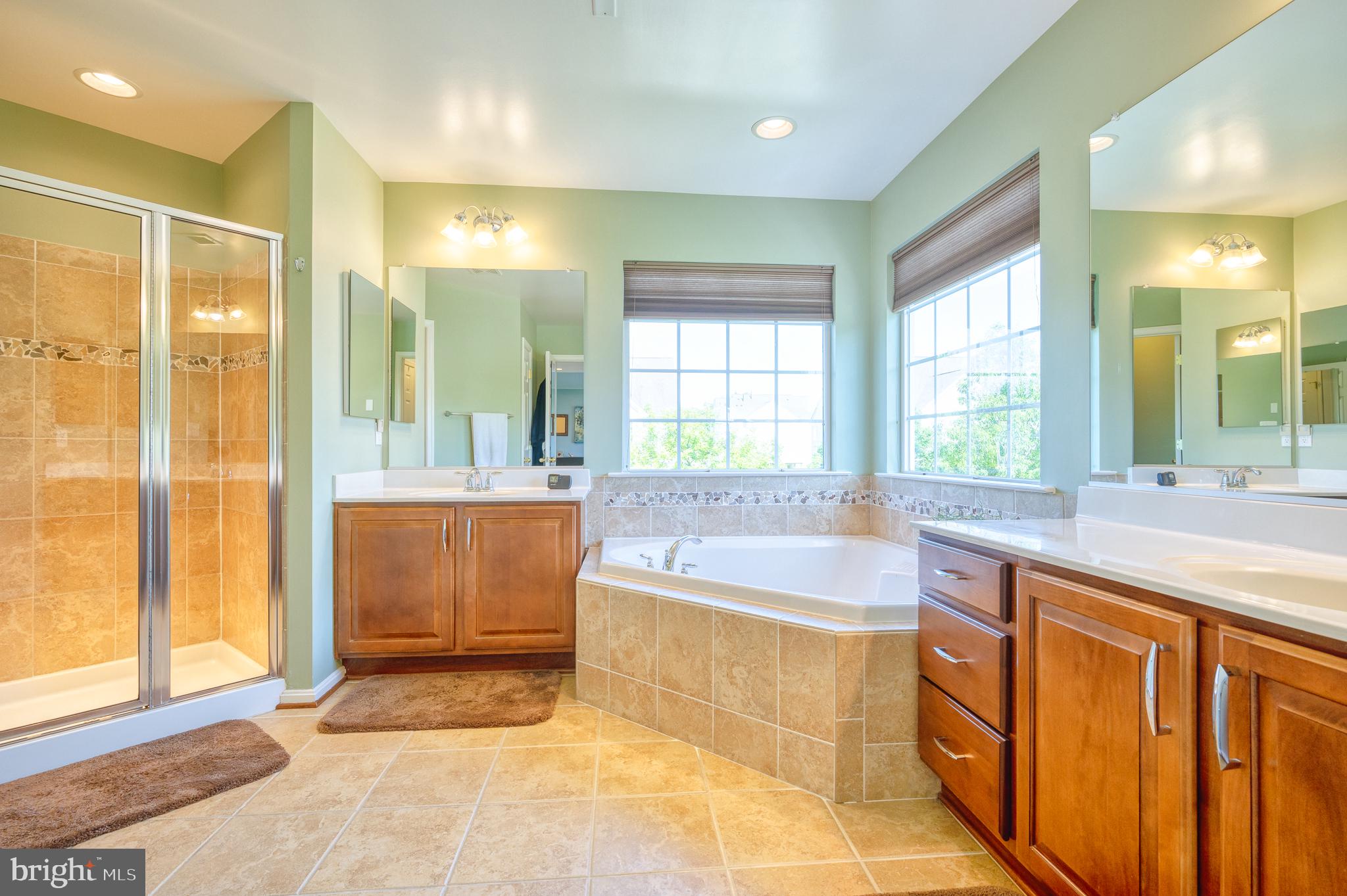 THE PARKE AT MOUNT WASHINGTON - Residential