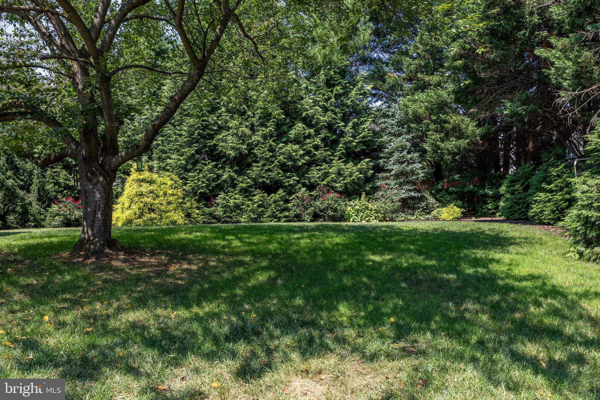 WAVERLY WOODS - Residential