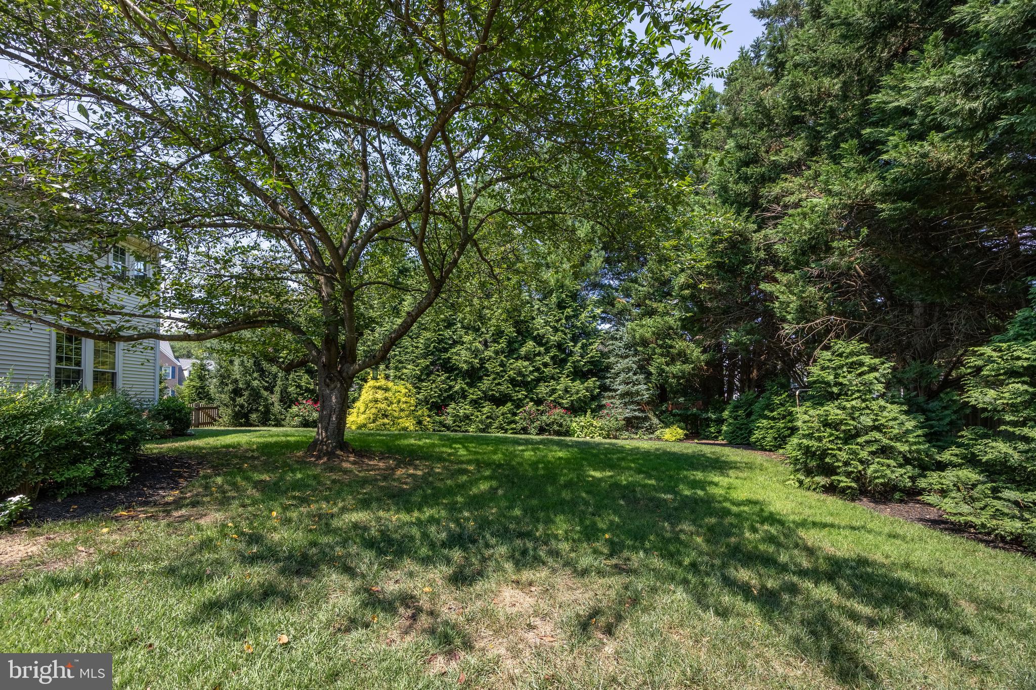 WAVERLY WOODS - Residential