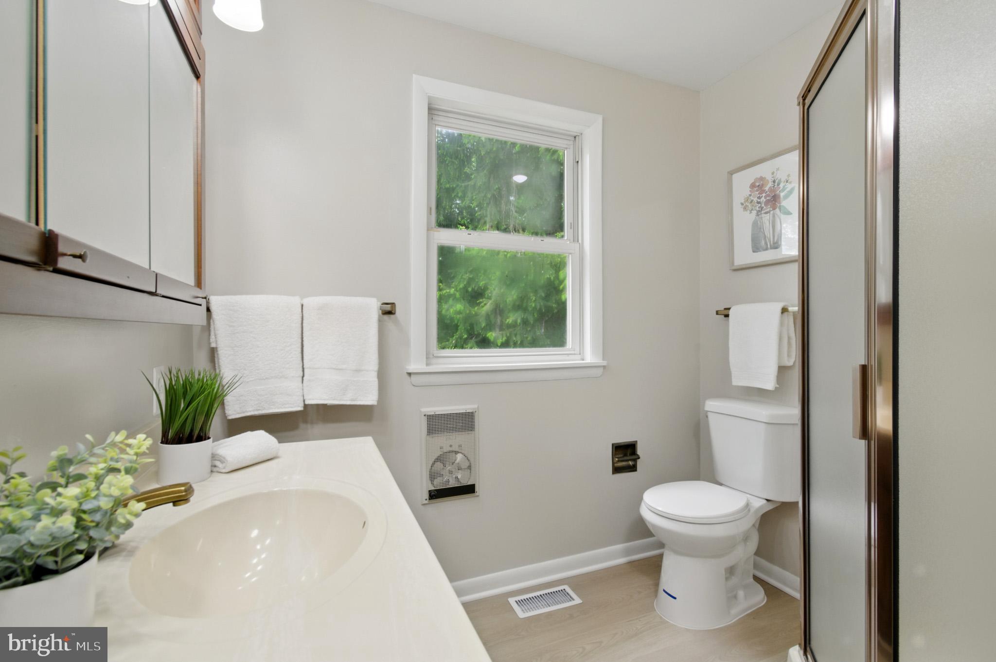 MOUNT AUGUSTINE - Residential