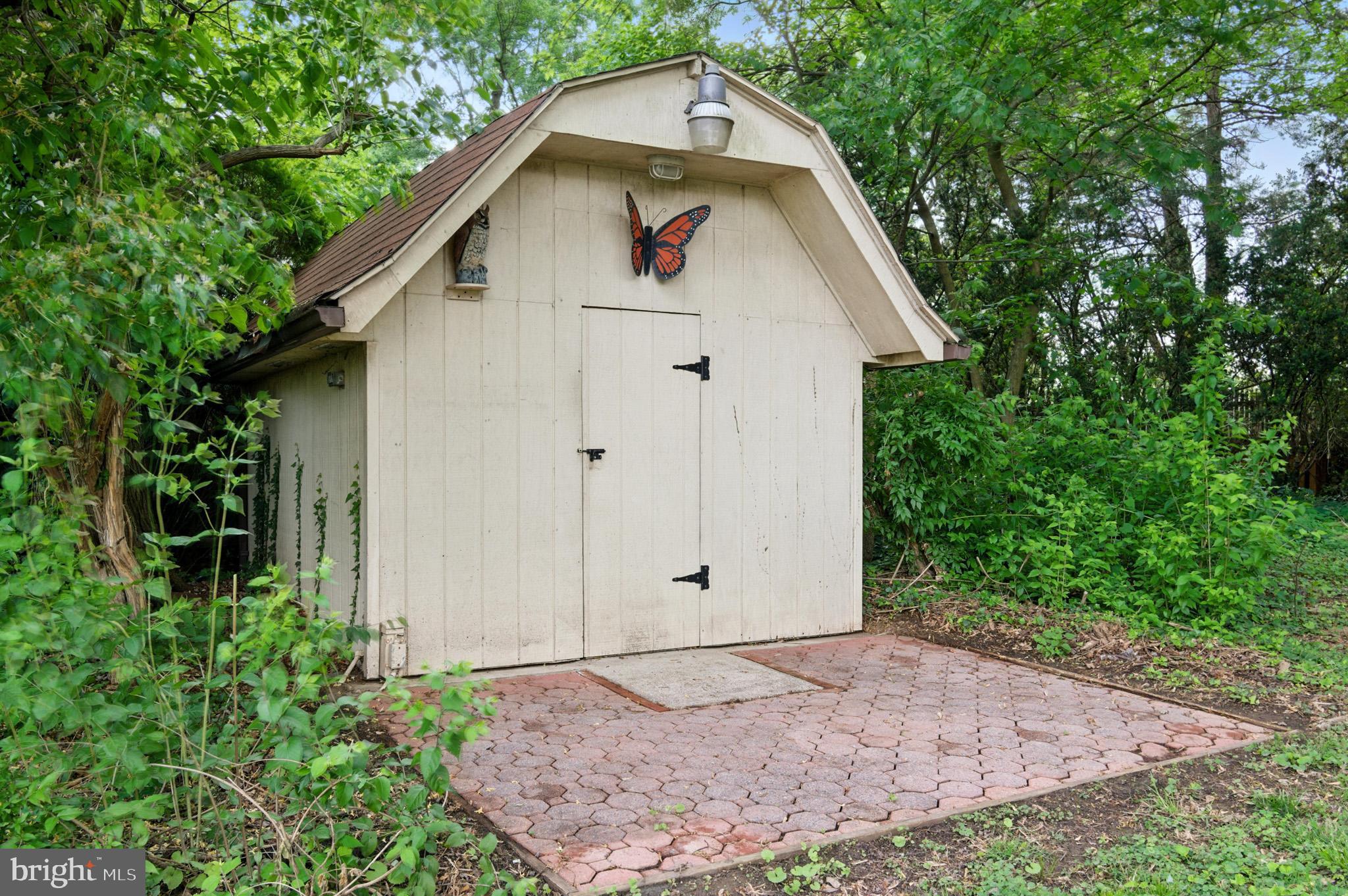 MOUNT AUGUSTINE - Residential