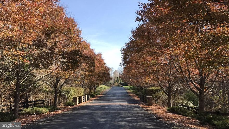 Build your dream home on an elevated, wooded 10 AC estate lot with privacy! Lot is located on interior of estate, so your home will back to Riding Club neighbors. Access to Piedmont amenities - activities center, gym, exercise classes, indoor and outdoor pools, business center, Piedmont Club golf course, and clubhouse dining and bar included. Secluded and secure, yet minutes from hospital, dining, shopping, Gainesville and Middleburg. Priced below assessment!