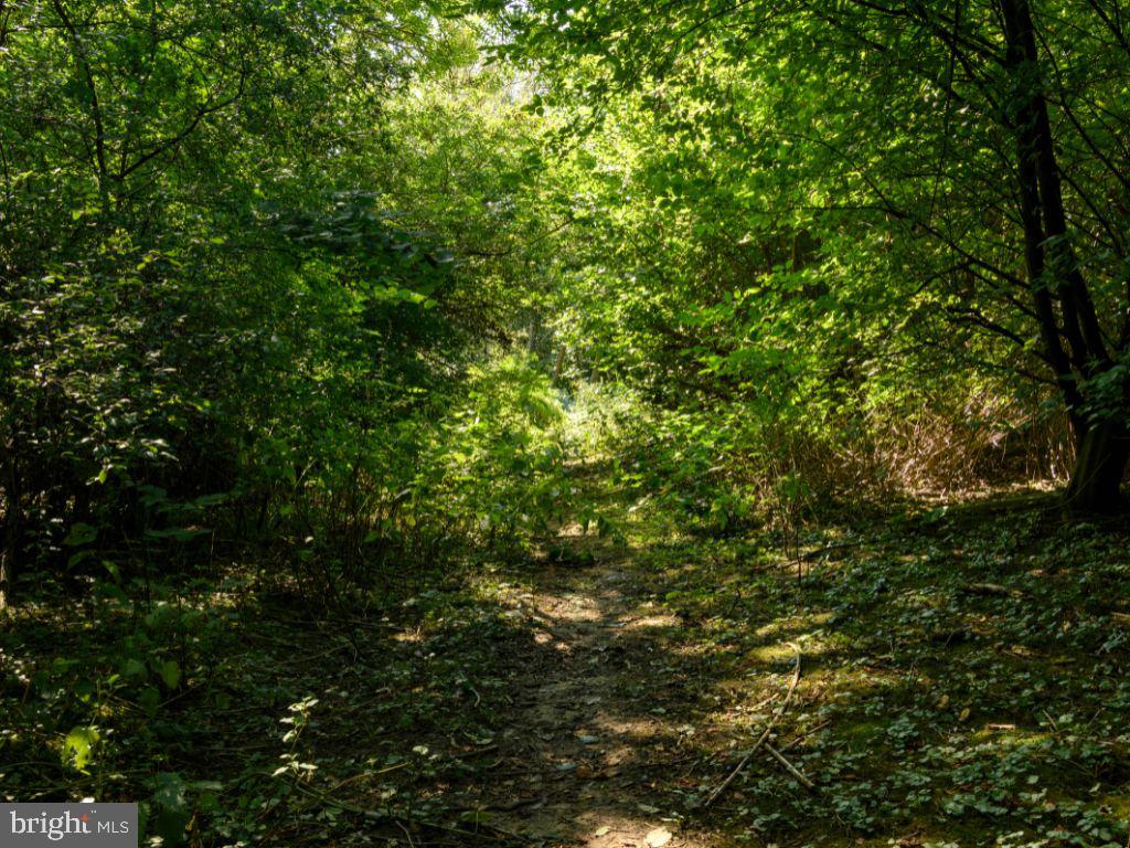 26218 DIPLOMAT CIRCLE