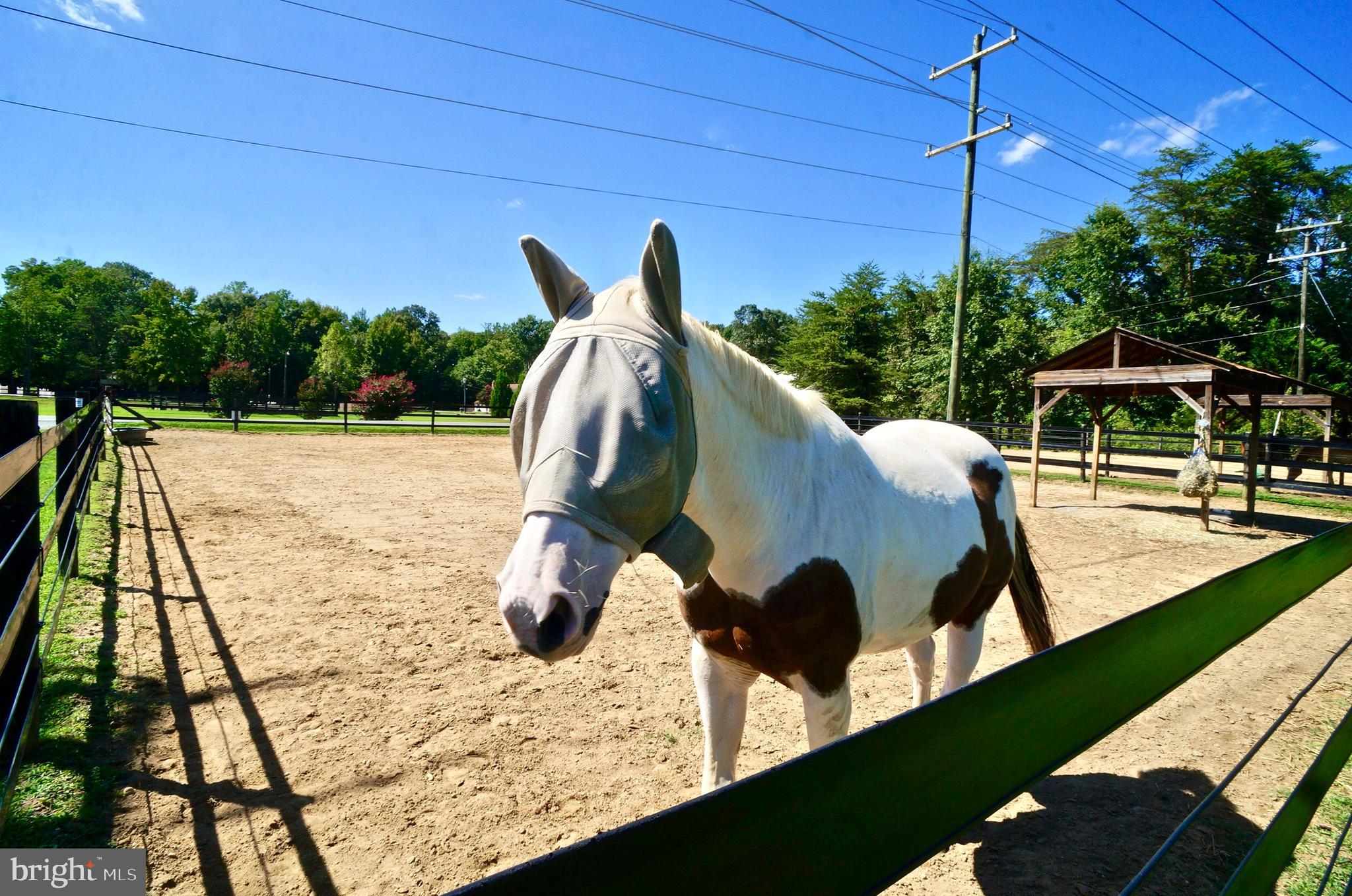 AQUIA HARBOUR - Residential Lease