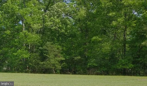 MLS: MDCH2051916