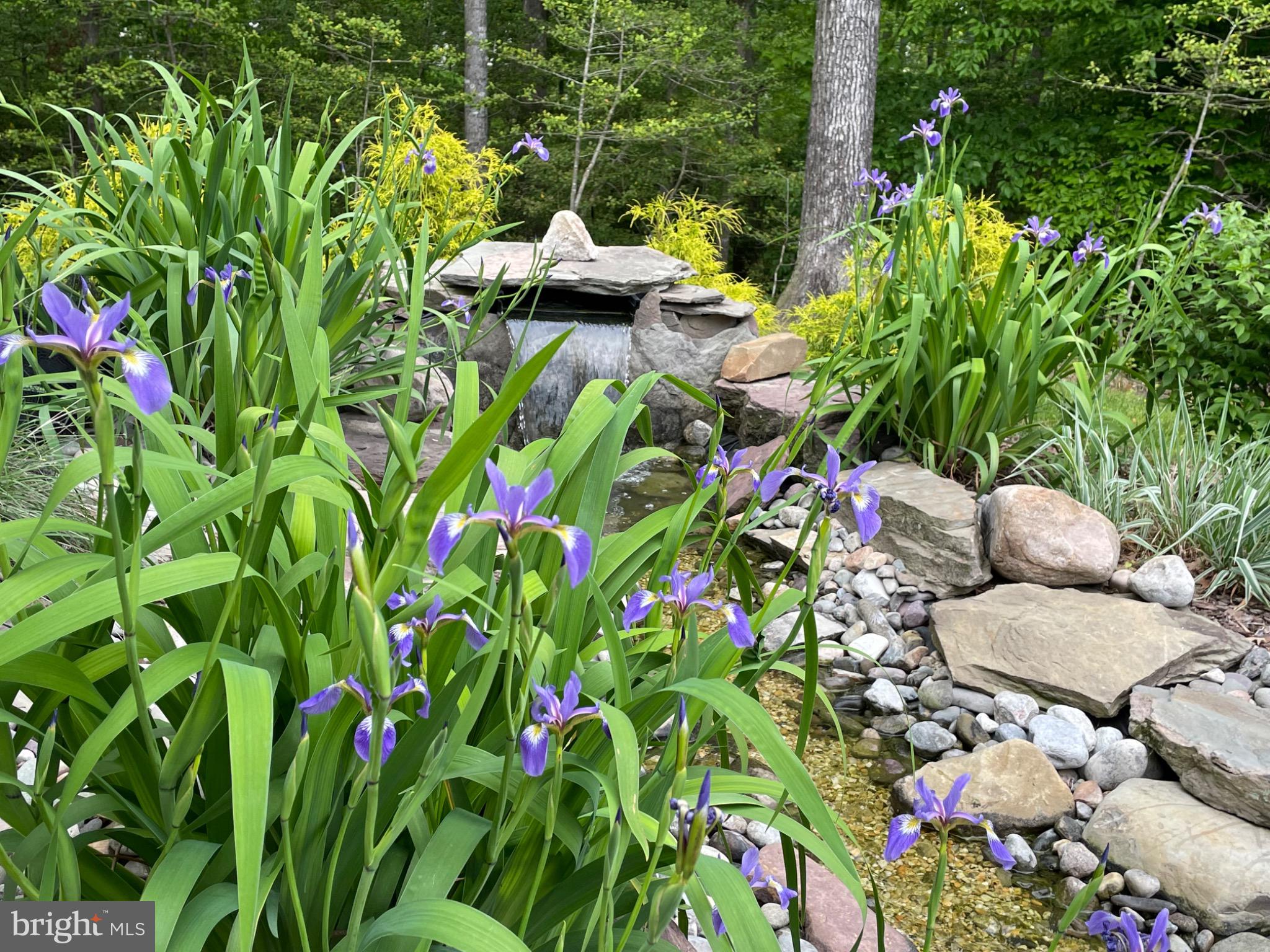 TWIN PONDS - Residential