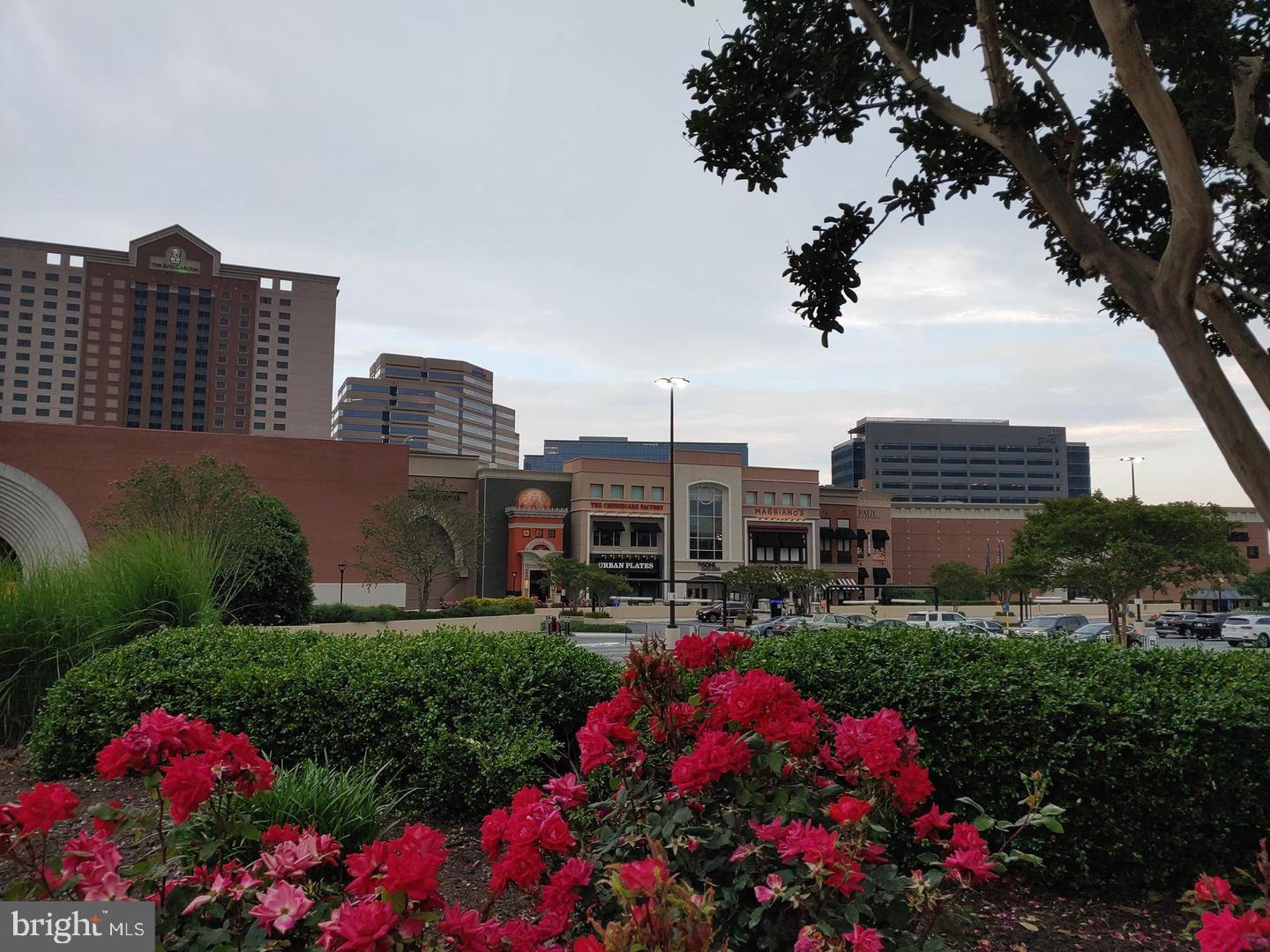 LILLIAN COURT AT TYSONS - Residential Lease