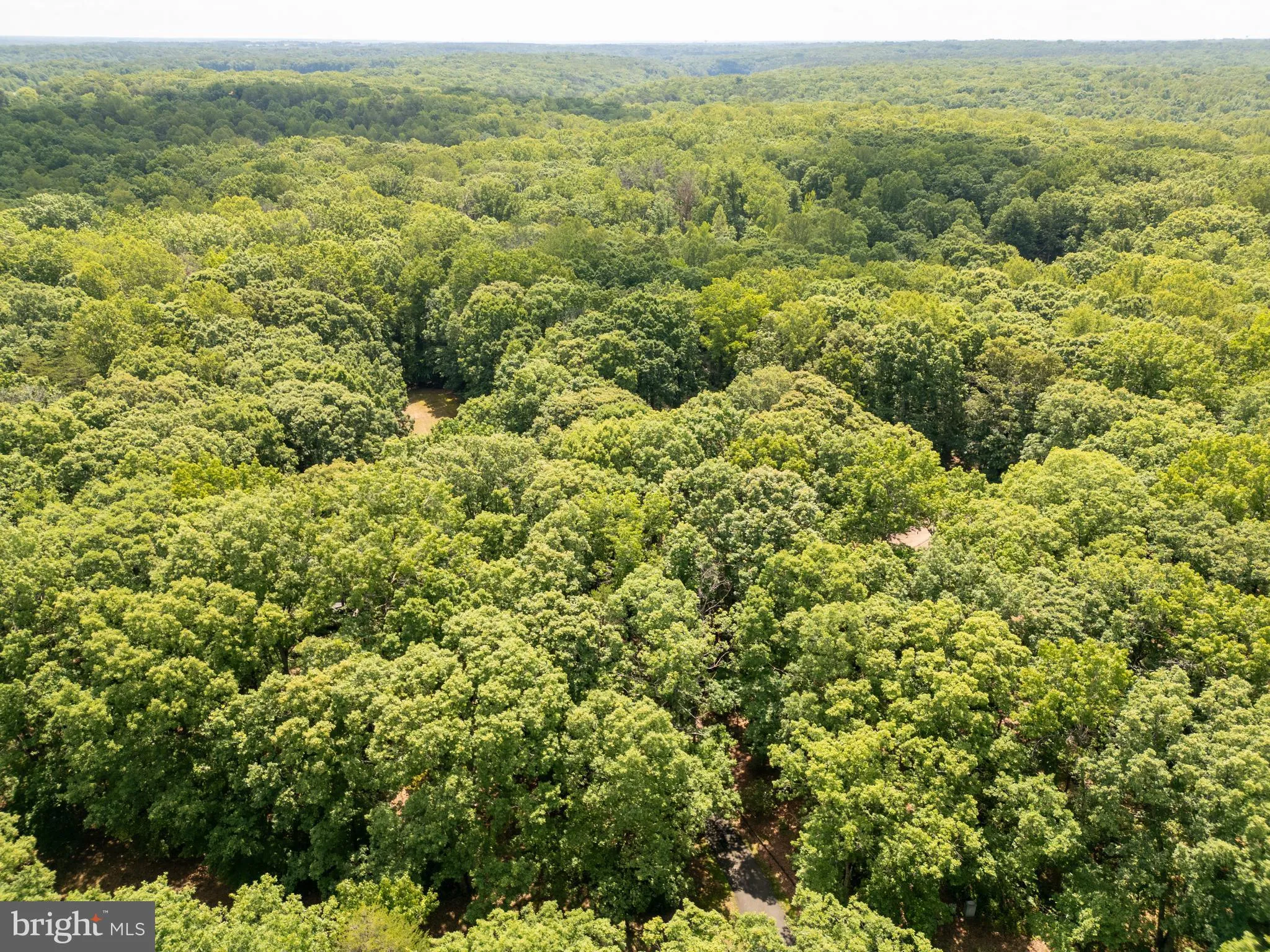 Fredericksburg, Virginia 22407, United States, 4 Bedrooms Bedrooms, ,3 BathroomsBathrooms,Residential,Active,193127
