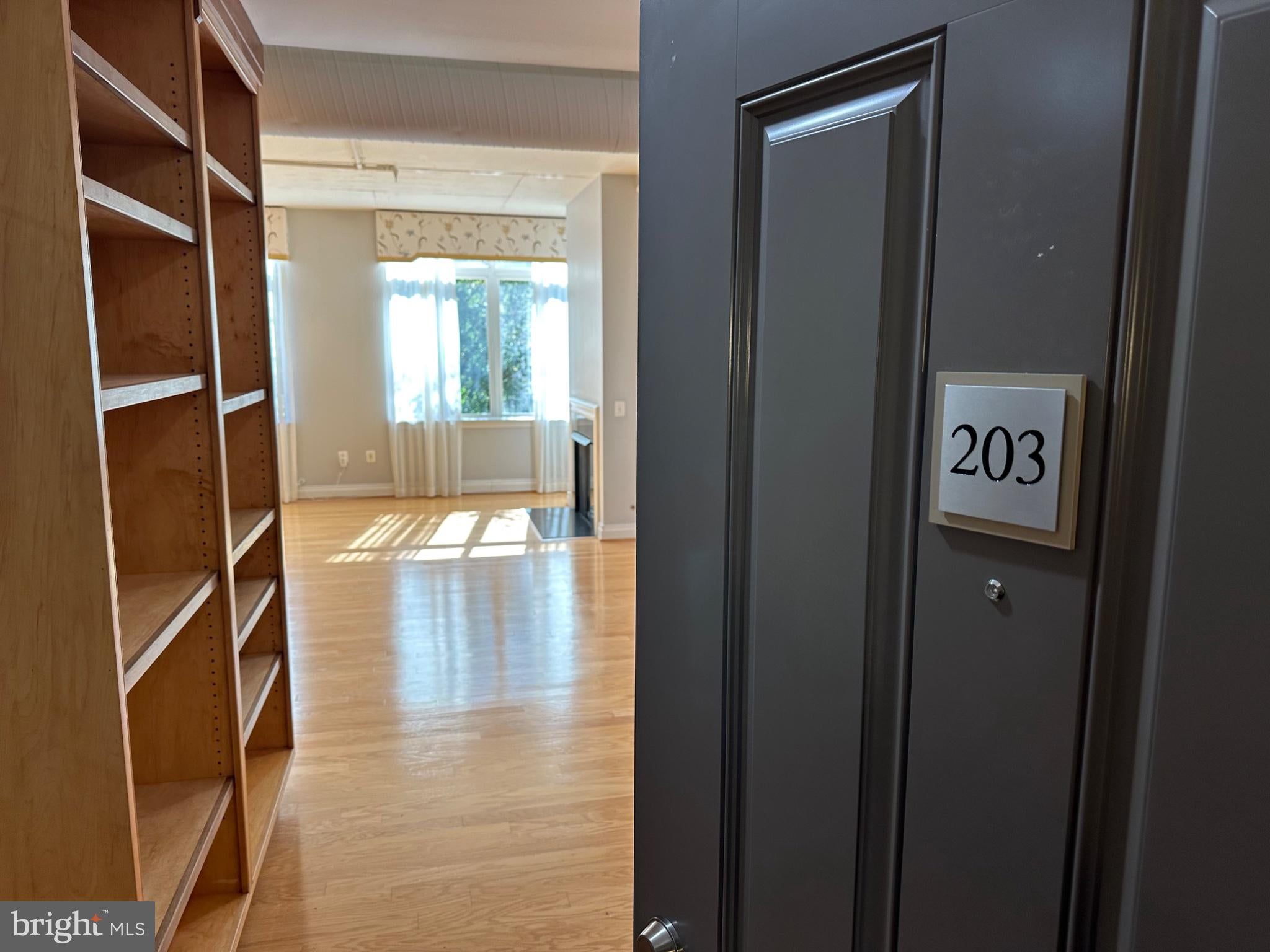 4490 MARKET COMMONS DRIVE 203