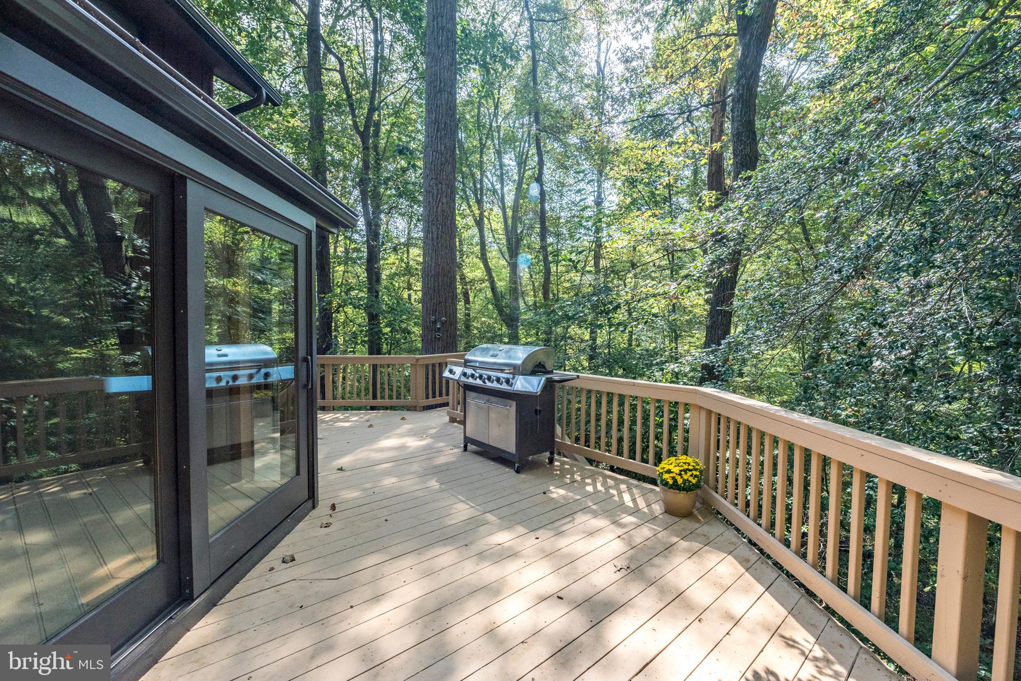 SAEFERN - Residential