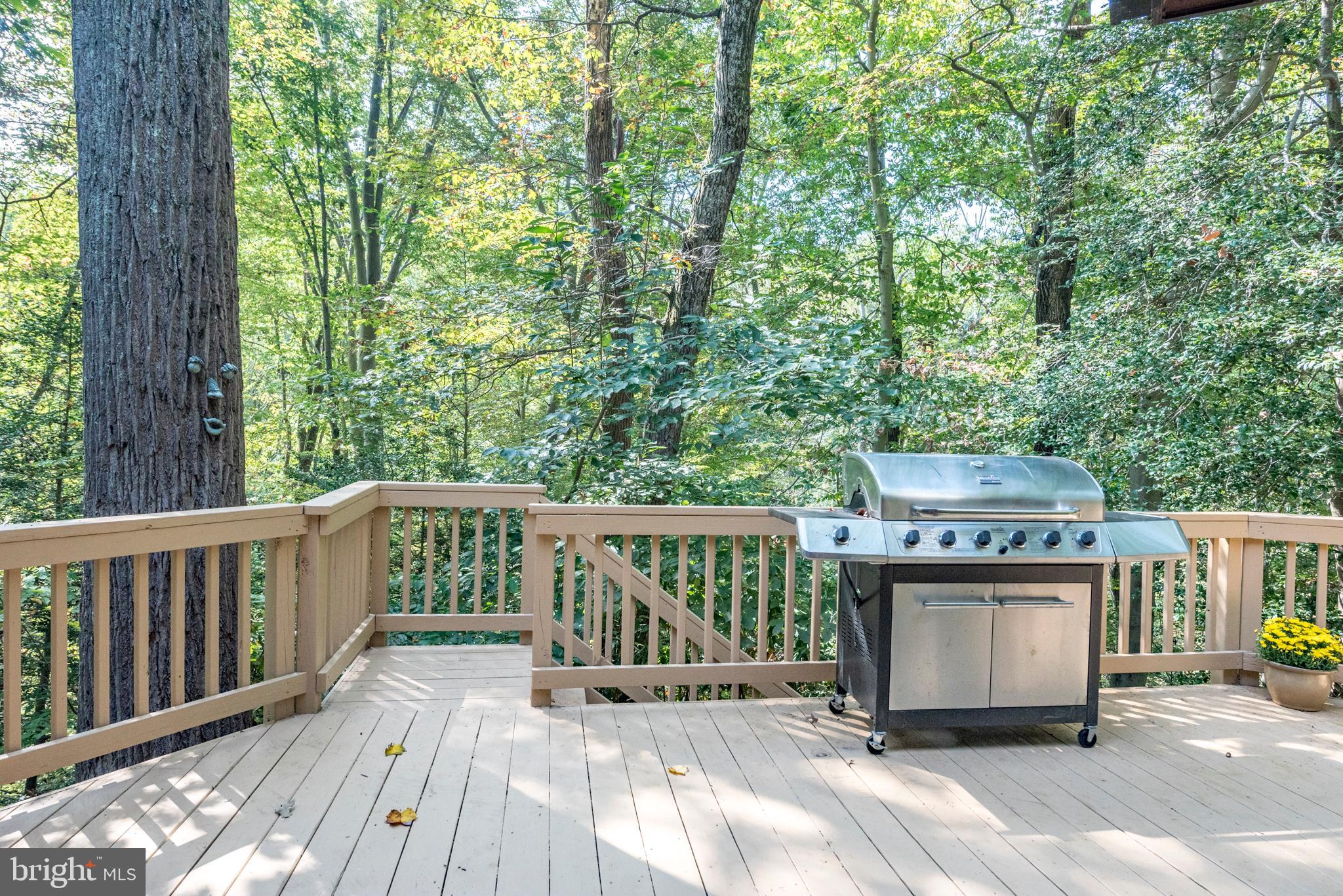 SAEFERN - Residential