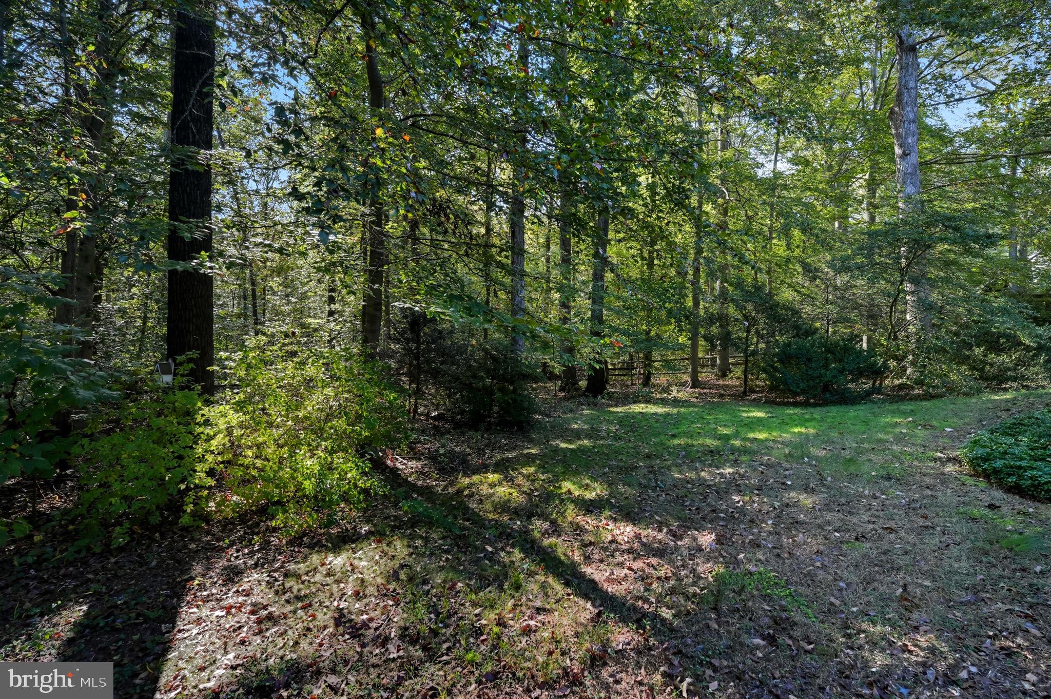 OCCOQUAN FOREST - Residential