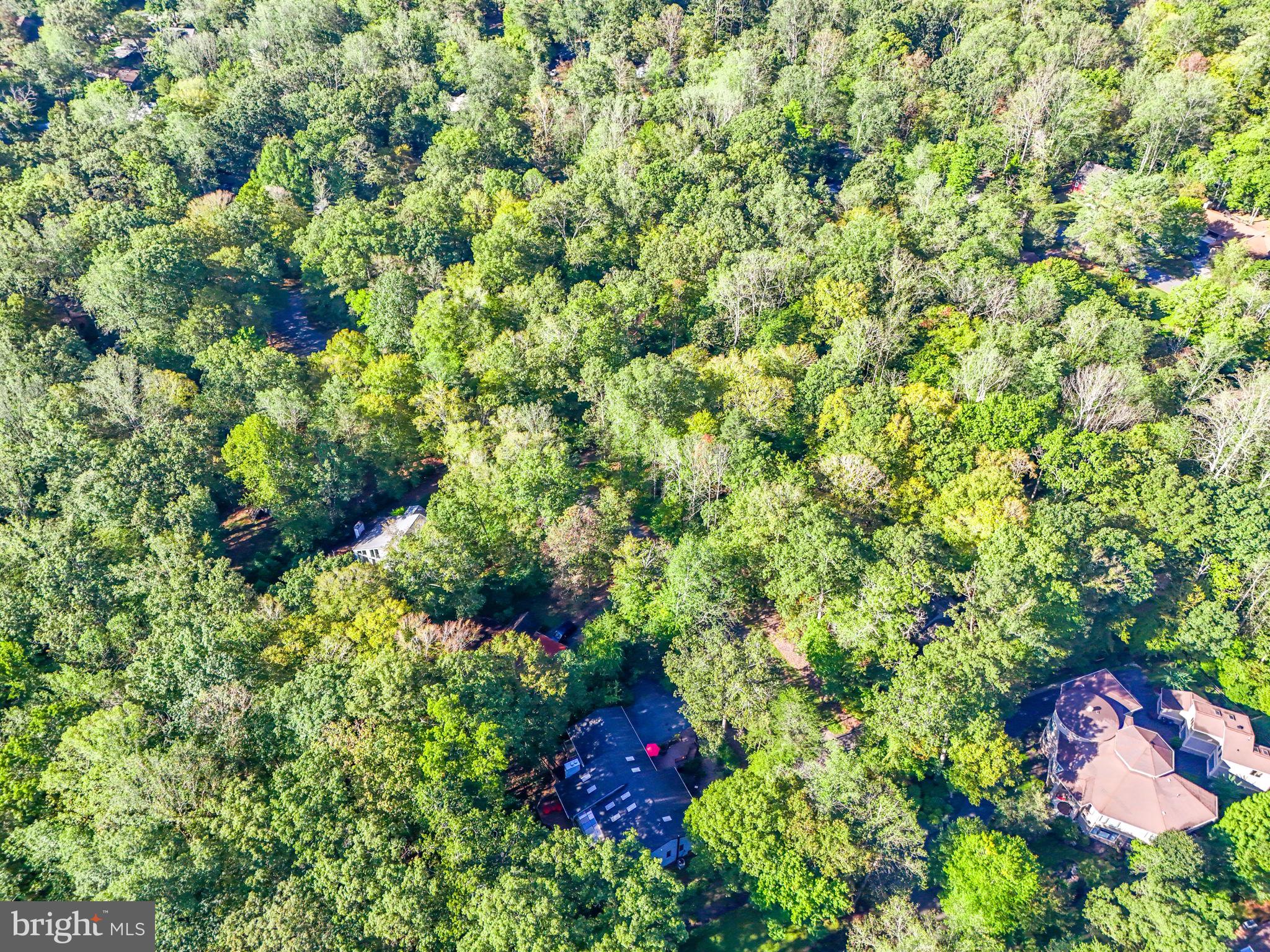 OCCOQUAN FOREST - Residential