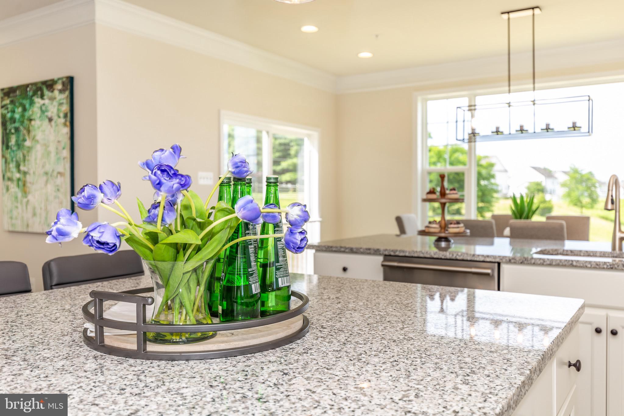 MEADOWRIDGE - Residential