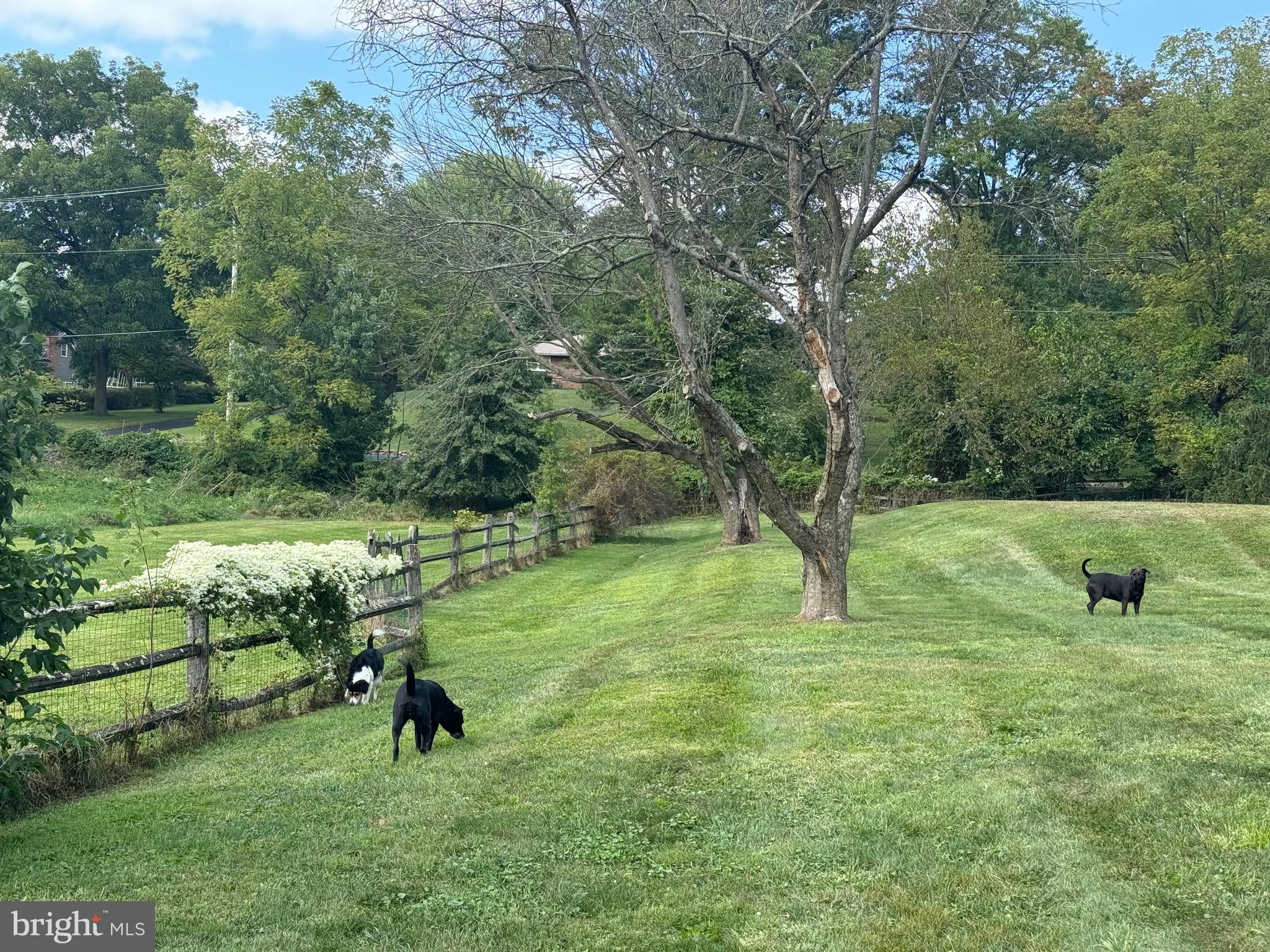 SAINT PETERS - Residential