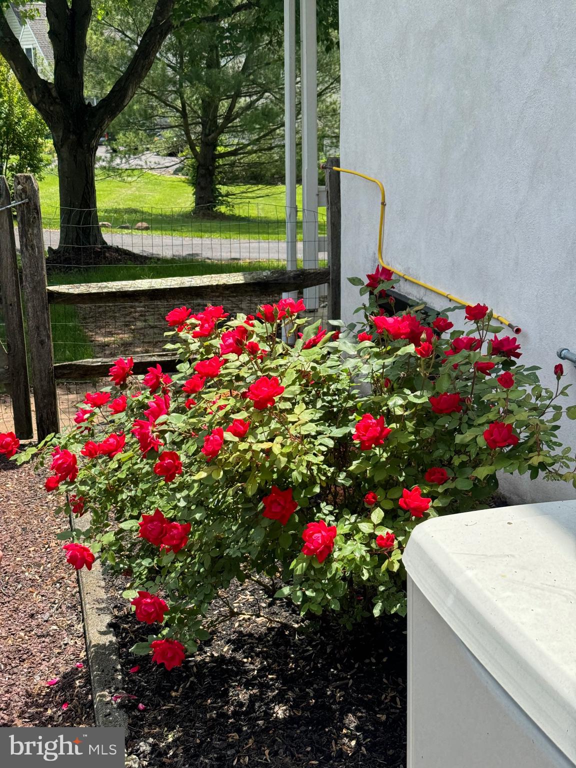 SAINT PETERS - Residential