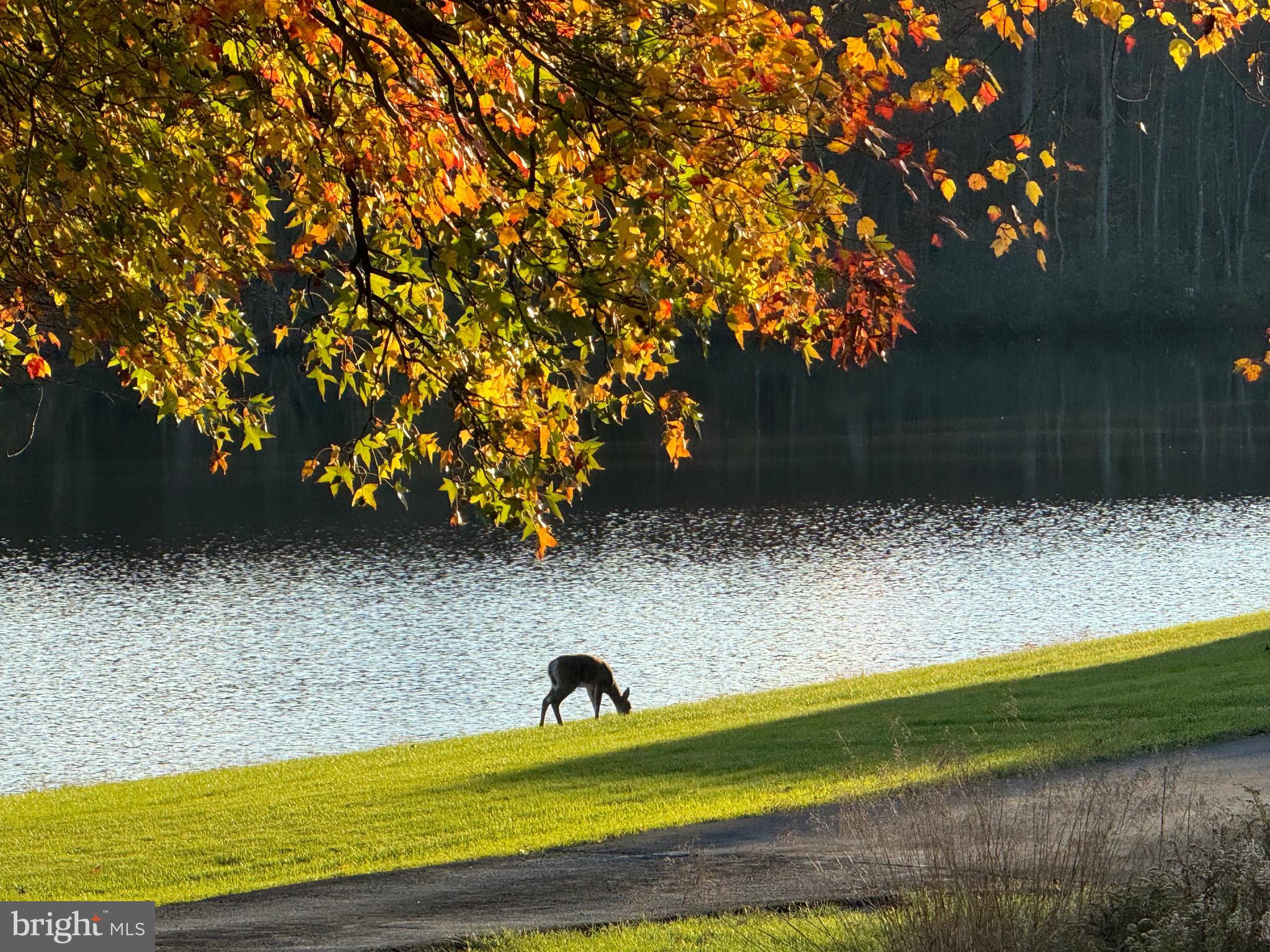 SAINT PETERS - Residential