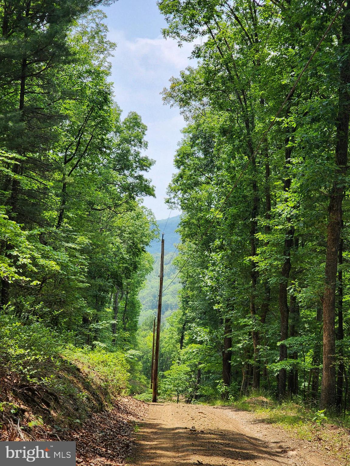 CHRISTINA'S WORLD II - Residential