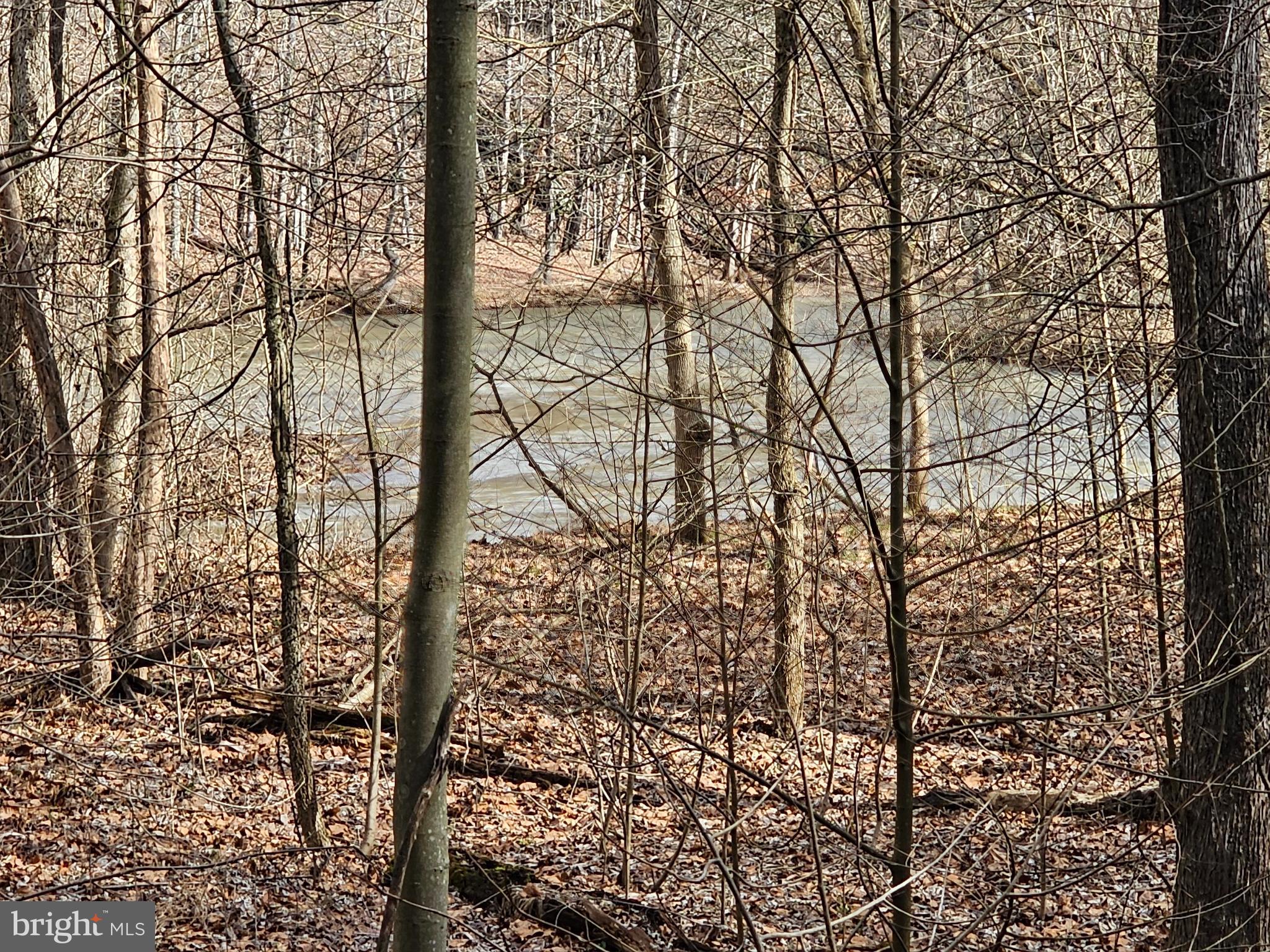 CHRISTINA'S WORLD II - Residential