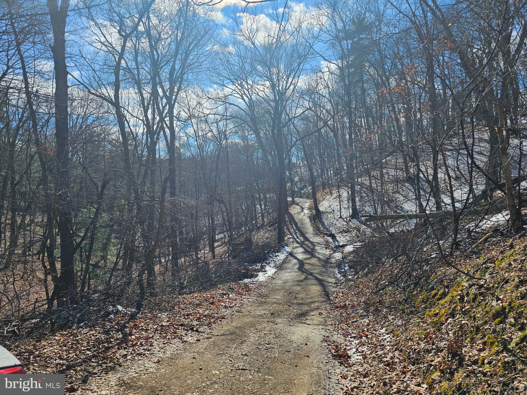 CHRISTINA'S WORLD II - Residential