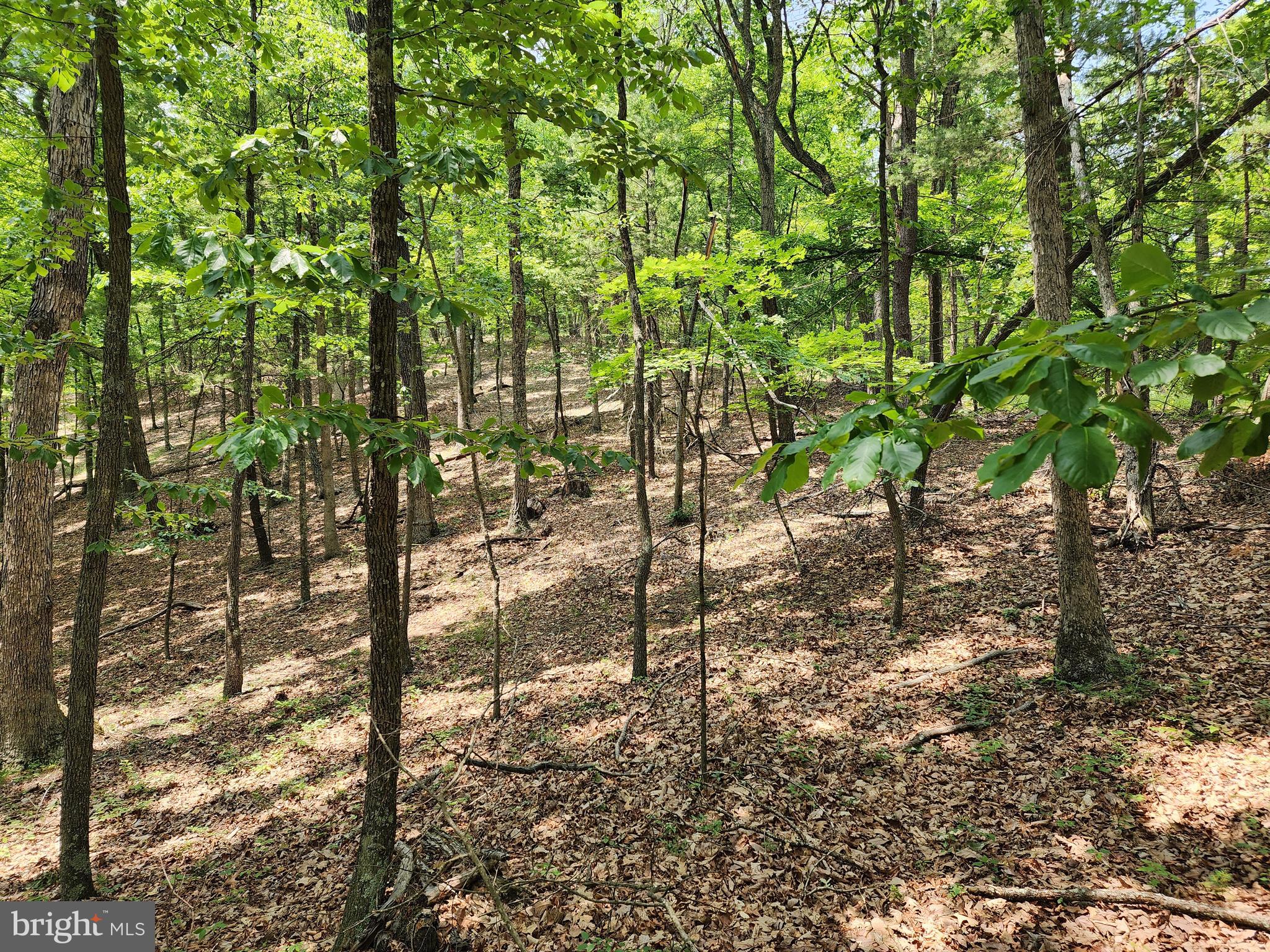 CHRISTINA'S WORLD II - Residential