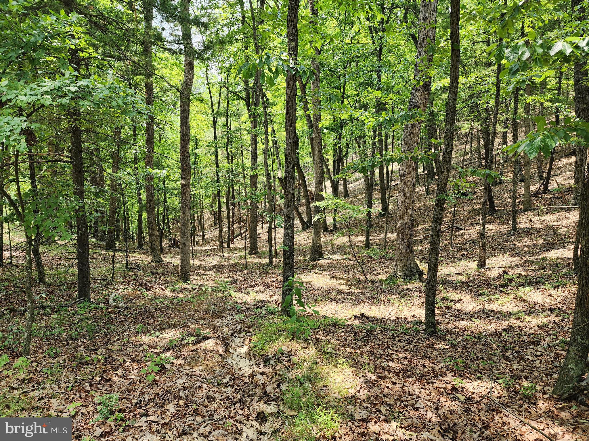 CHRISTINA'S WORLD II - Residential