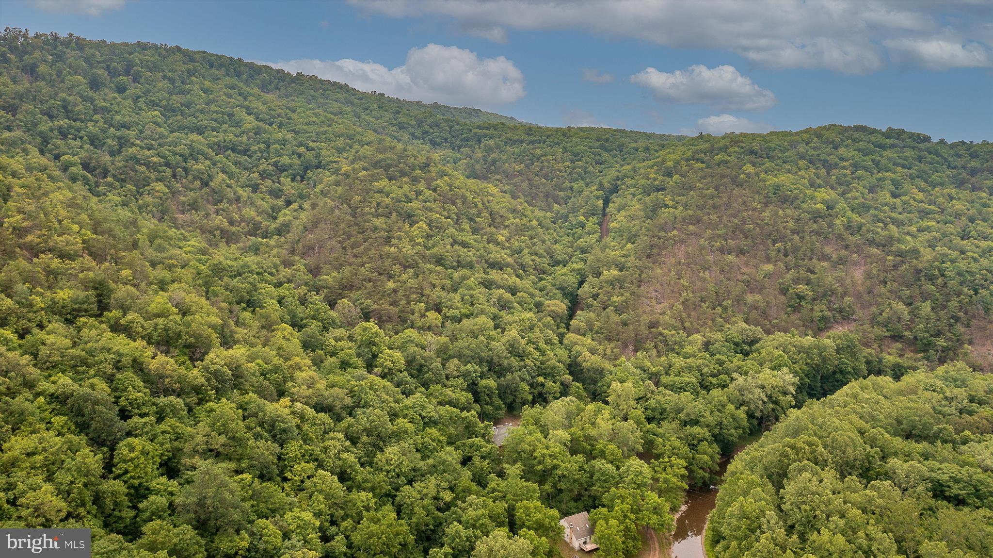 CHRISTINA'S WORLD II - Residential