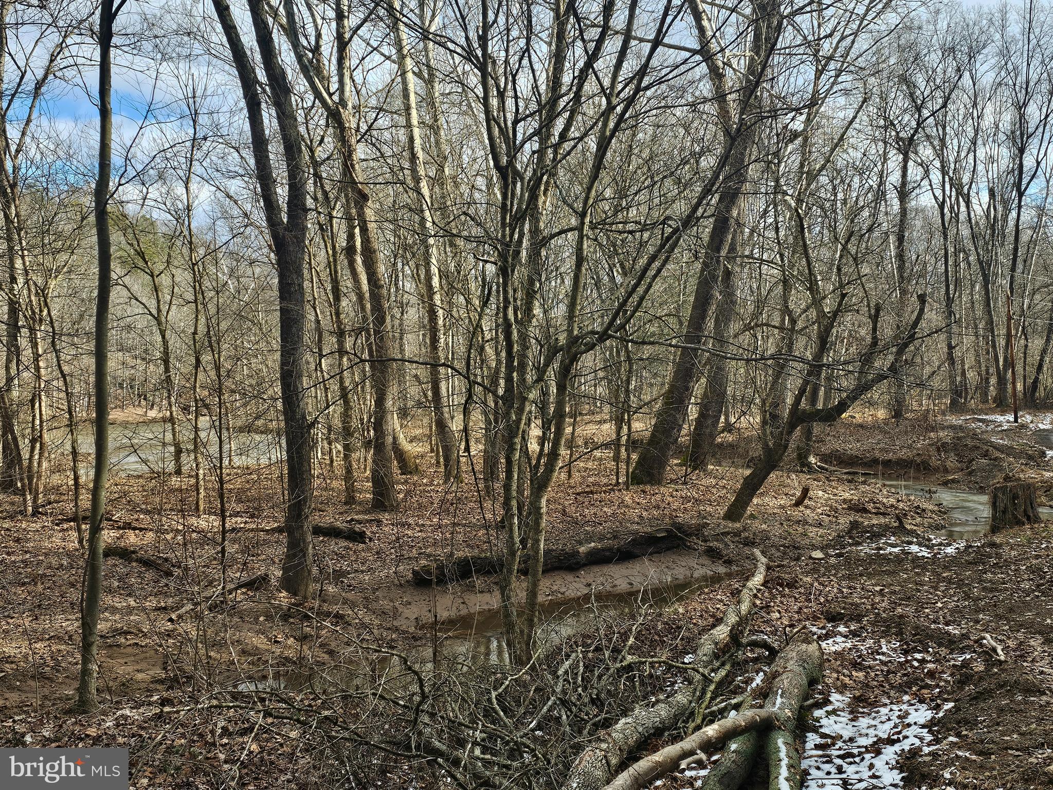 CHRISTINA'S WORLD II - Residential