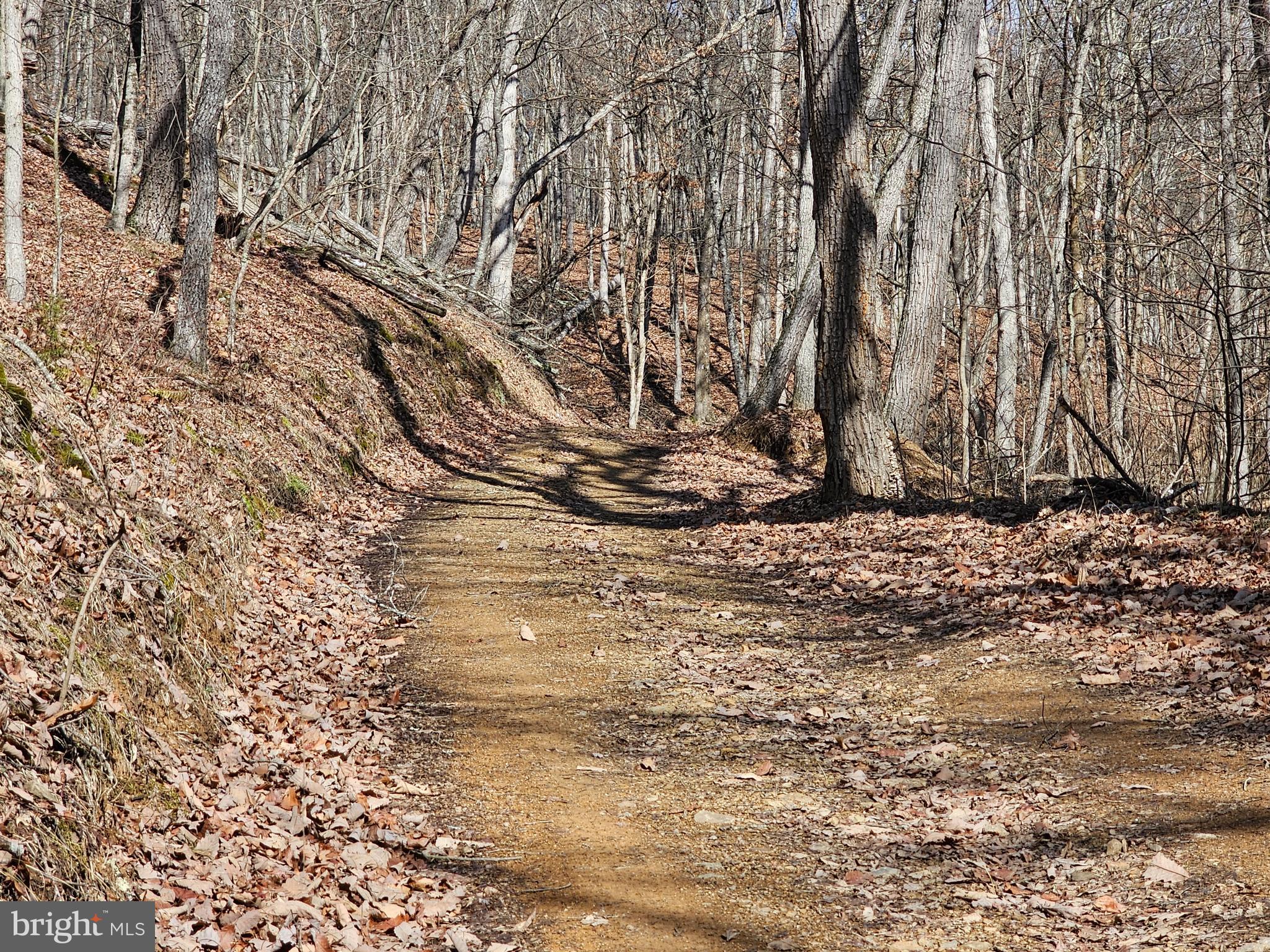 CHRISTINA'S WORLD II - Residential