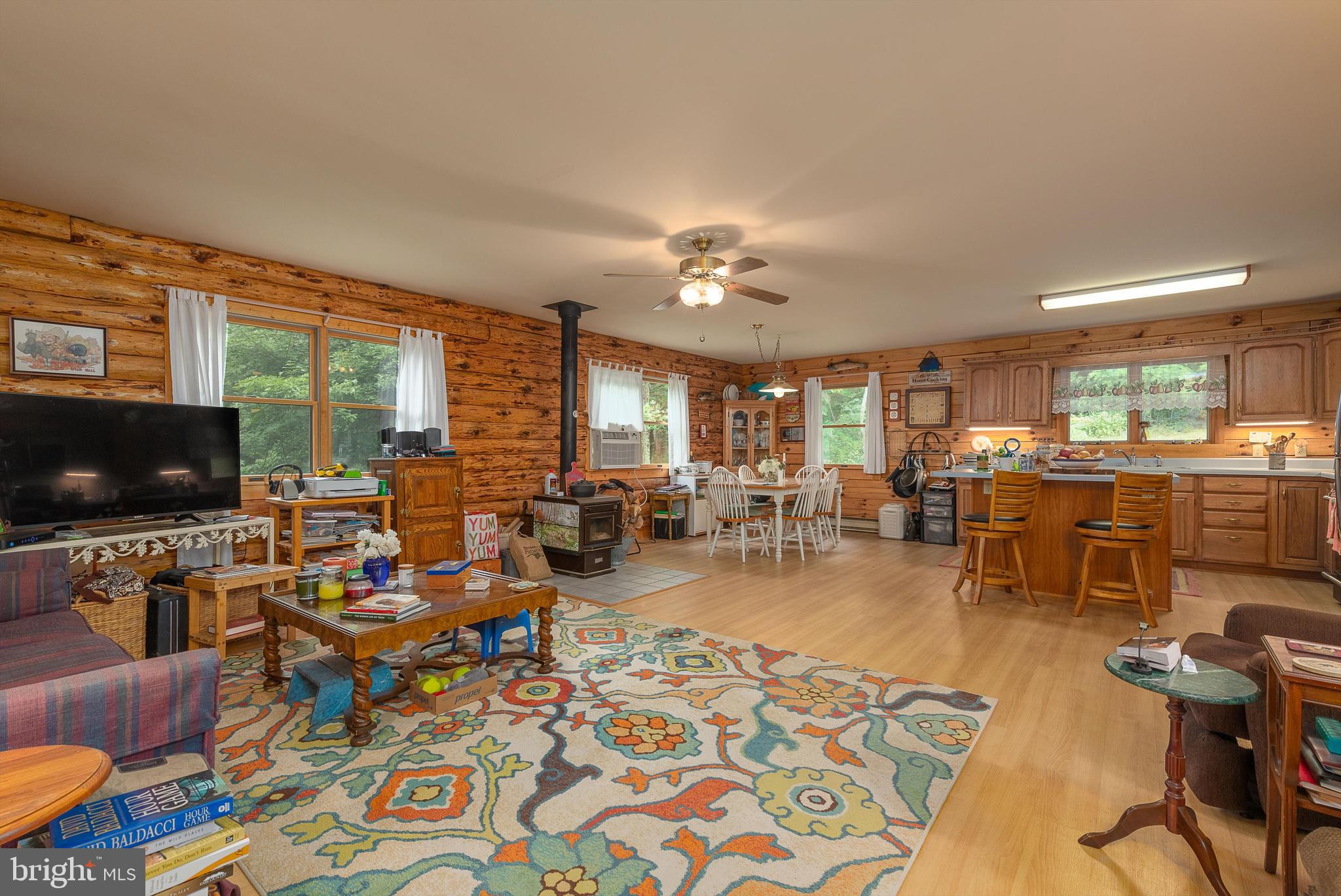 CHRISTINA'S WORLD II - Residential