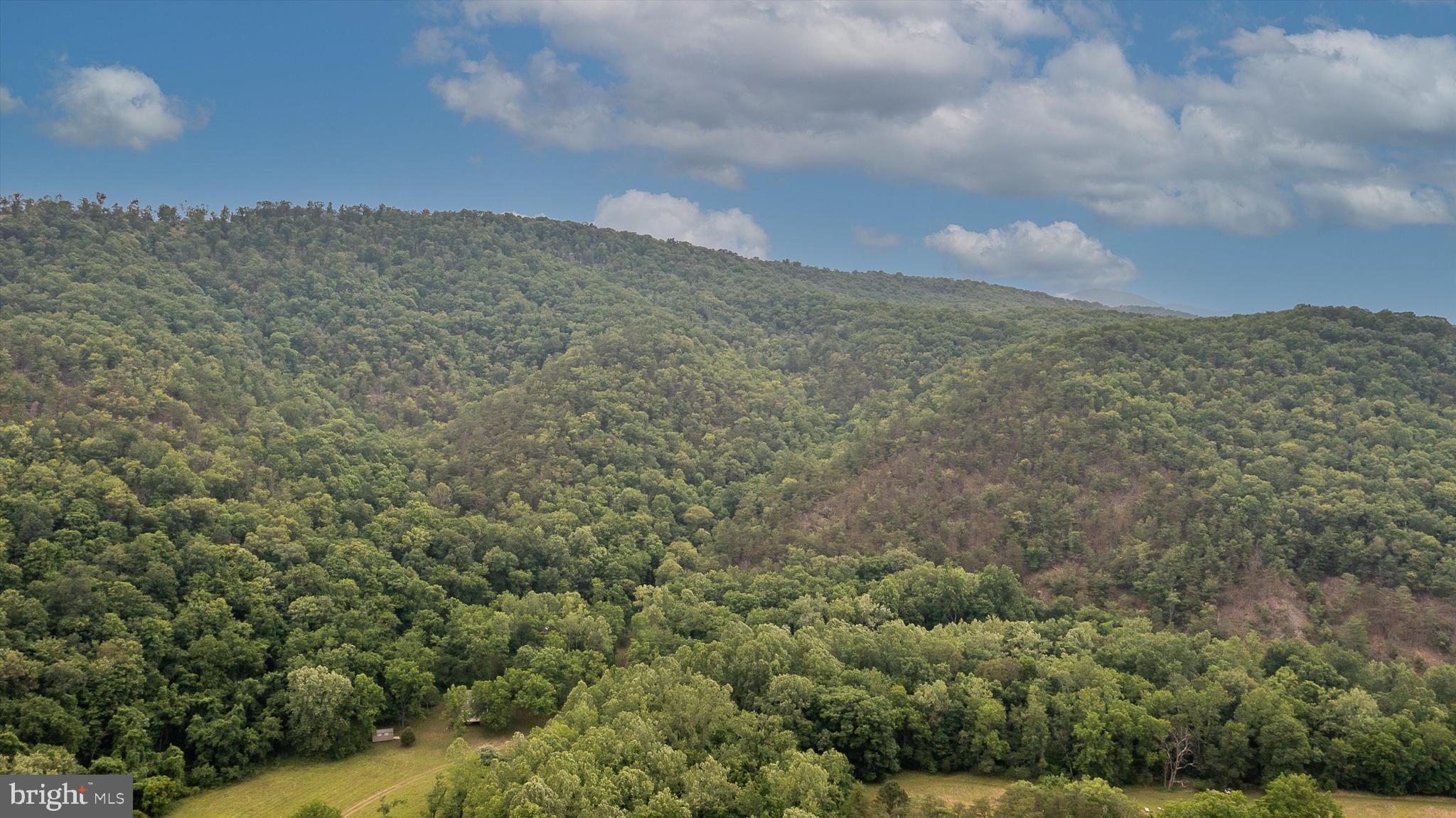 CHRISTINA'S WORLD II - Residential