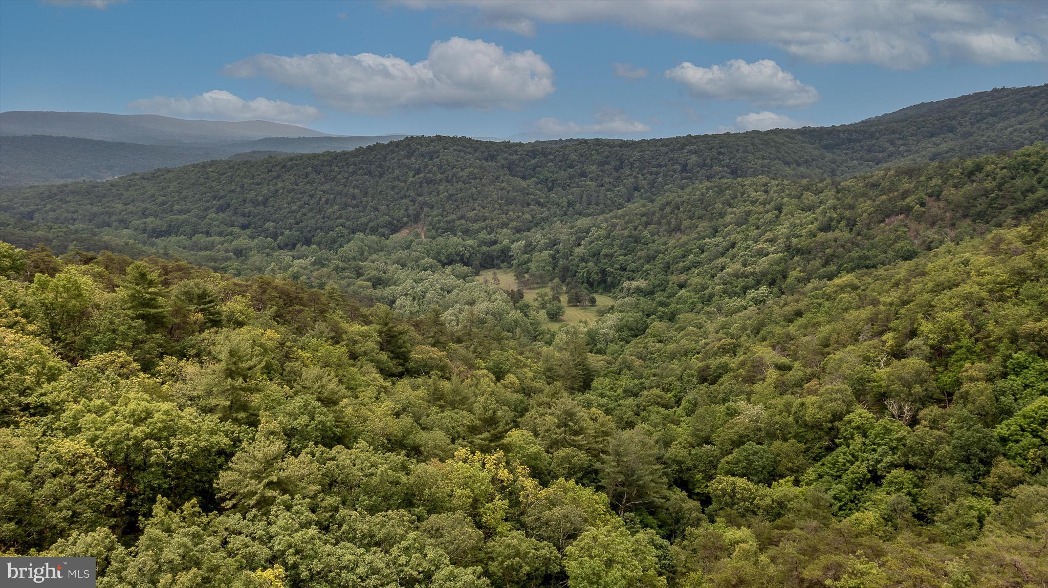 CHRISTINA'S WORLD II - Residential