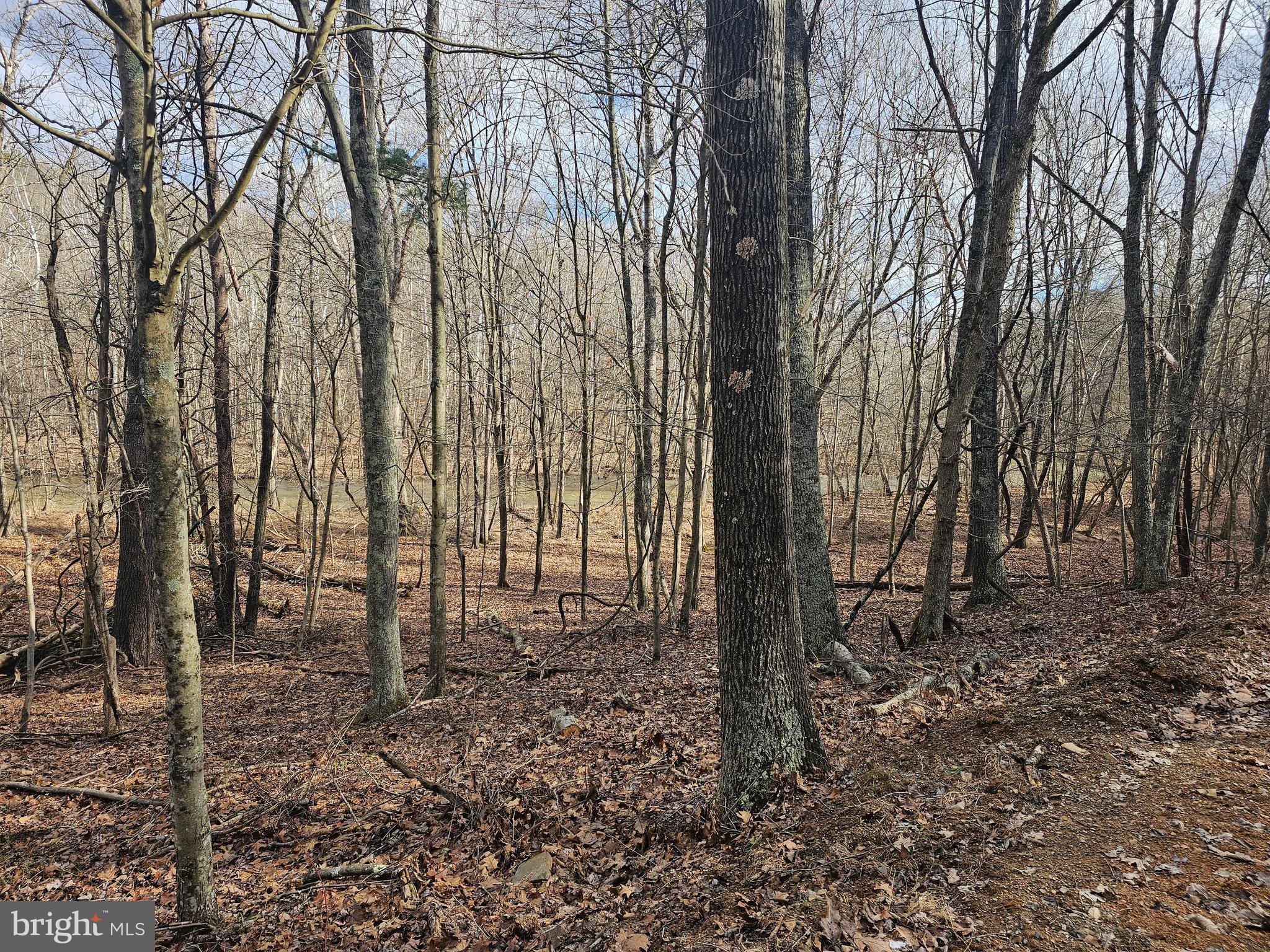 CHRISTINA'S WORLD II - Residential