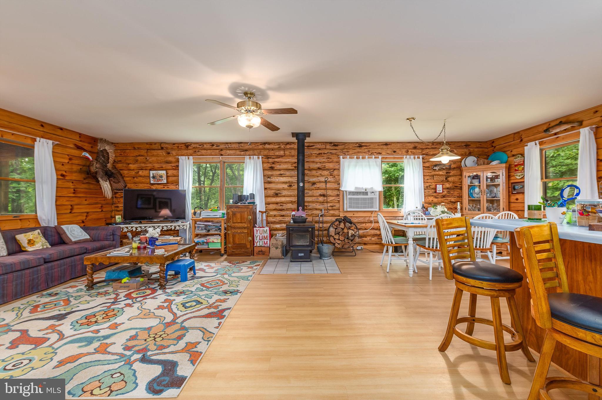 CHRISTINA'S WORLD II - Residential