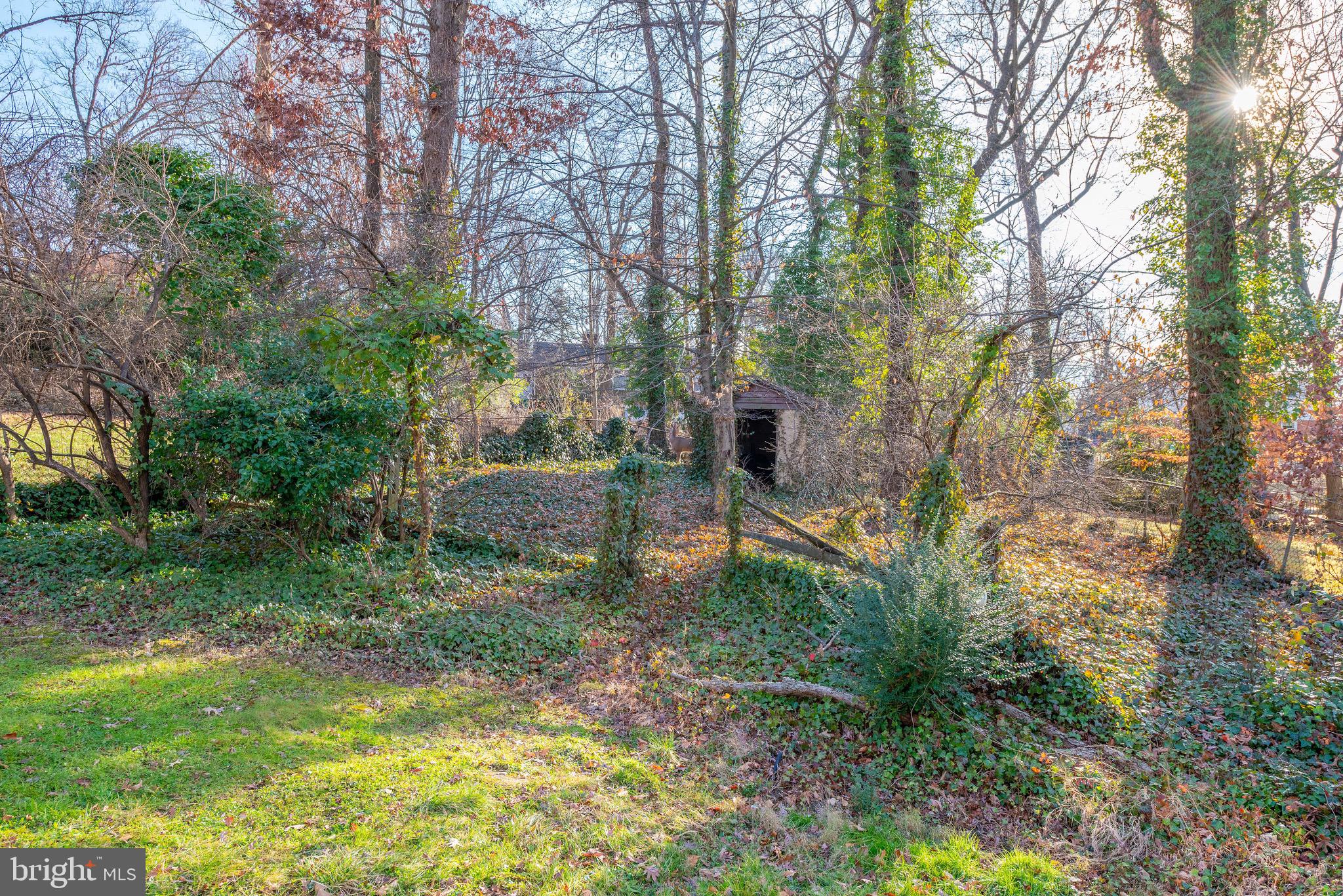 CHATHAM - Residential Lease