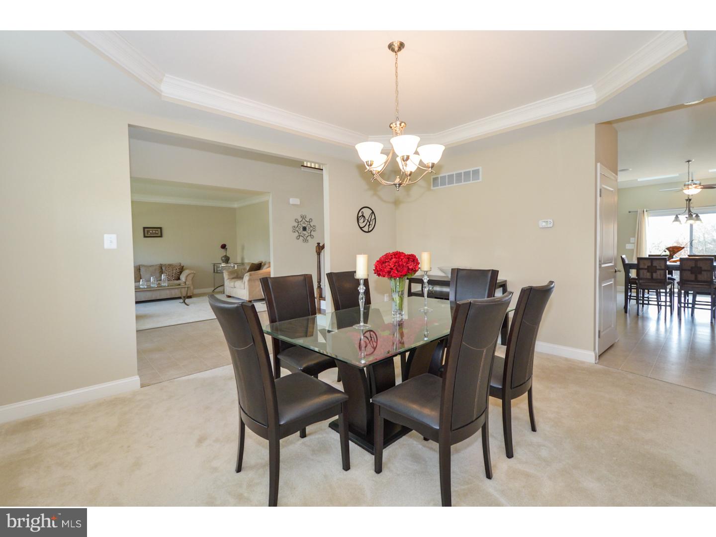 VILL AT COUNTRY VIEW - Residential