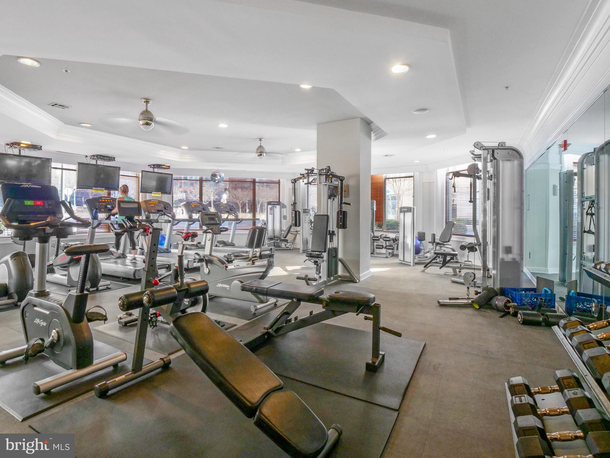 SAVOY AT RESTON TOWN CENTER - Residential