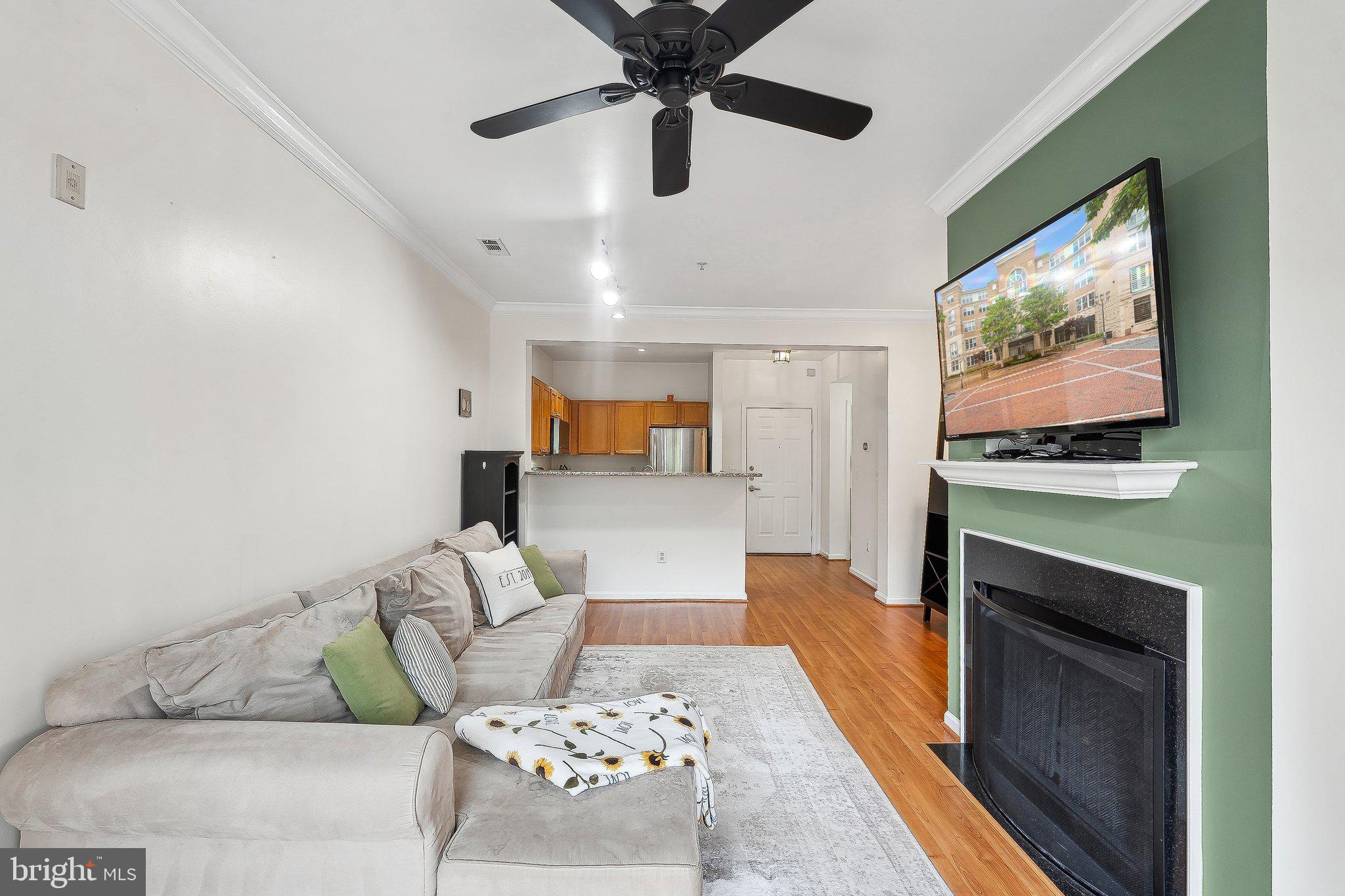 SAVOY AT RESTON TOWN CENTER - Residential