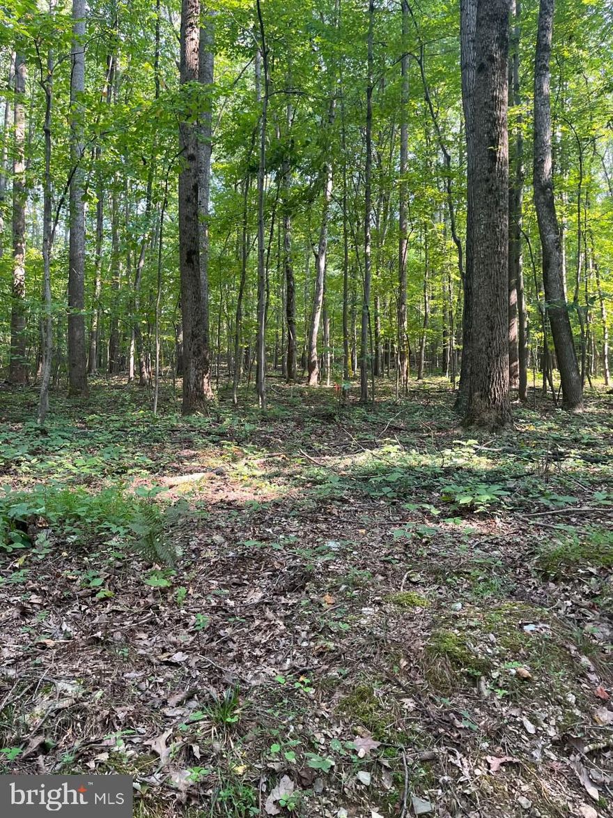 Build you wooded dream home on this private 3 plus acre lot located in Manchester.  Well and perc for standard septic in place.  Paved shared driveway from Ebbvale Rd.
