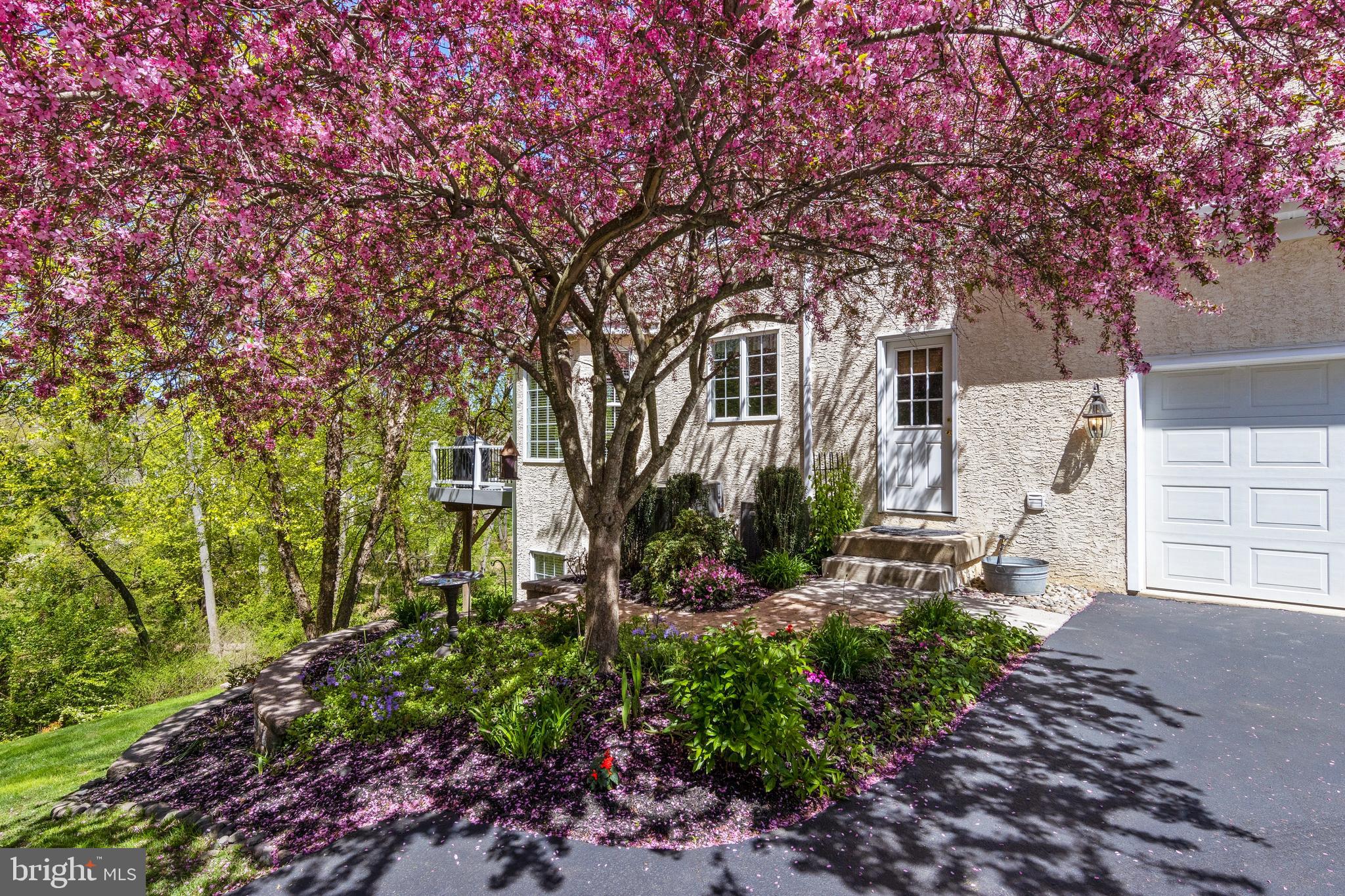 CHERRY CREEK - Residential