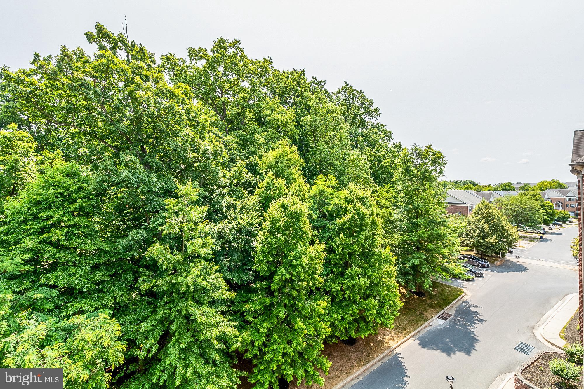 CONDOS AT THE RIDGE - Residential