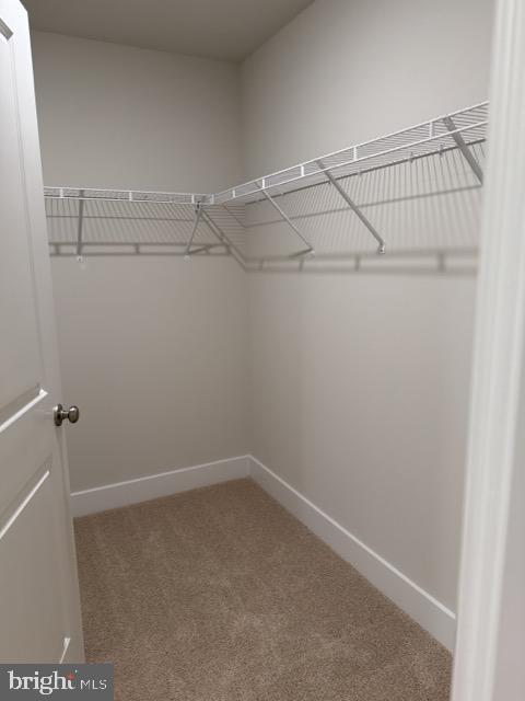 ABRAMS POINTE - Residential Lease