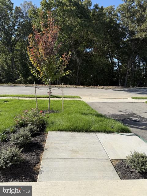 ABRAMS POINTE - Residential Lease