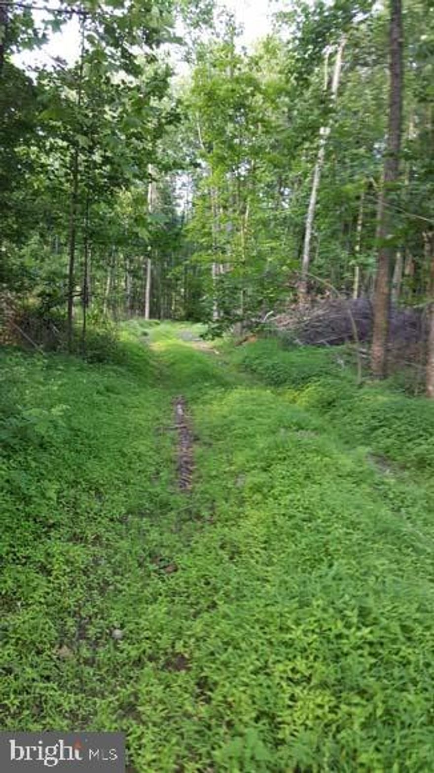 You want seclusion, then this is the property for you. Totally wooded with switch-back road entry to the level top of the ridge. If you don't want to be alone, this is not the property for you. Fabulous hunting, wildlife galore! Clean & Green with septic permit & design.