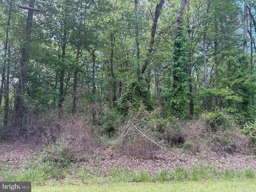 Discover your own piece of paradise in Lenapah, Chestertown, MD! This expansive 14,500 square foot lot offers endless possibilities for your dream home or investment vision. Nestled in a serene setting, this raw land is ready for your creative touch. Embrace the tranquility of nature while being just a short drive from local amenities. Whether you’re looking to build your dream oasis or a savvy investment, this property is a must-see opportunity!