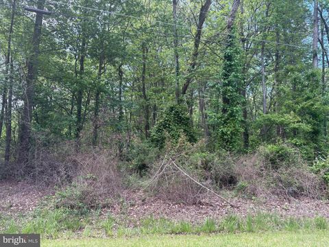 LENAPAH RD CHESTERTOWN MD 21620