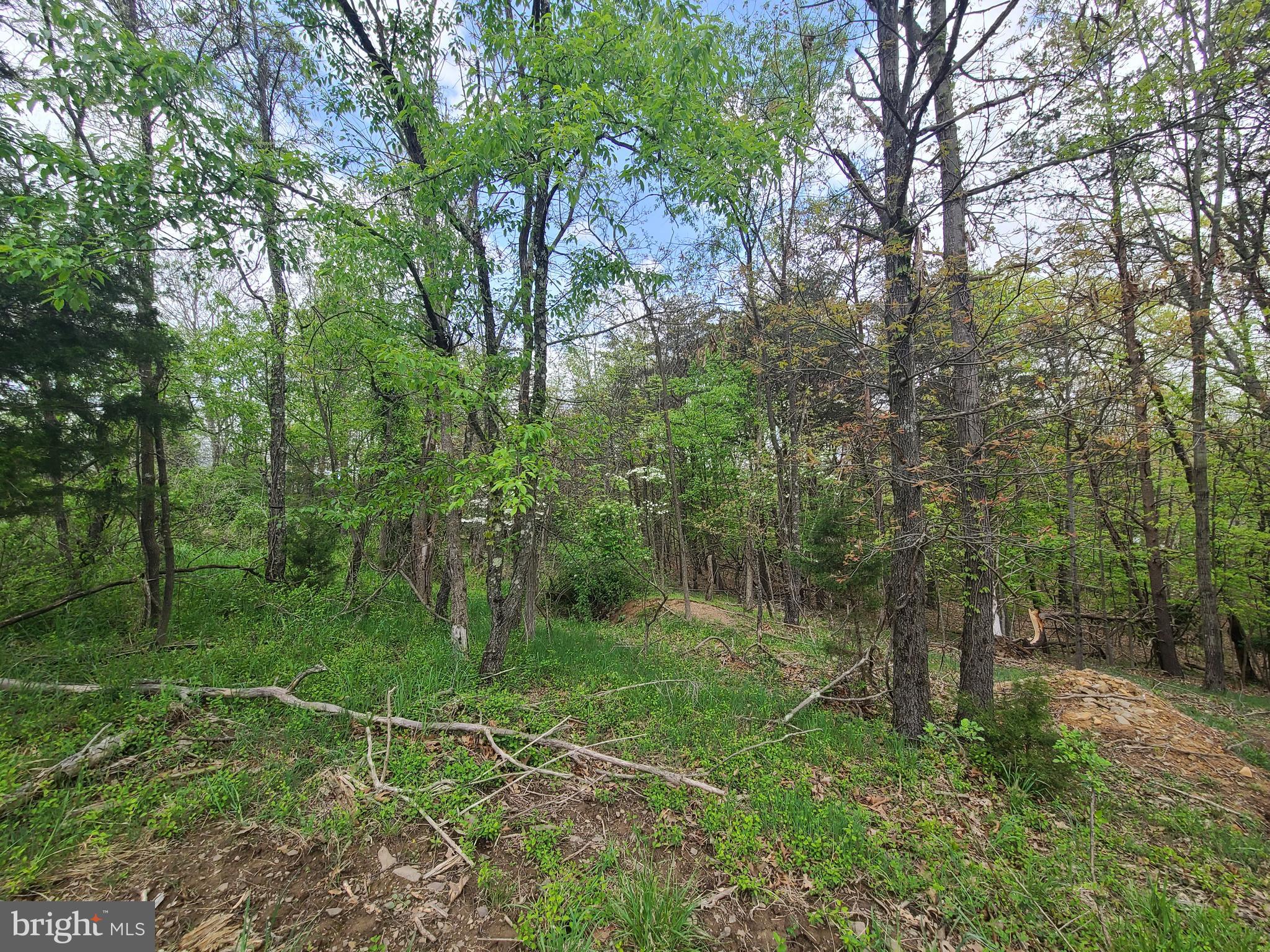 LONGVIEW SUBDIVISION - Land