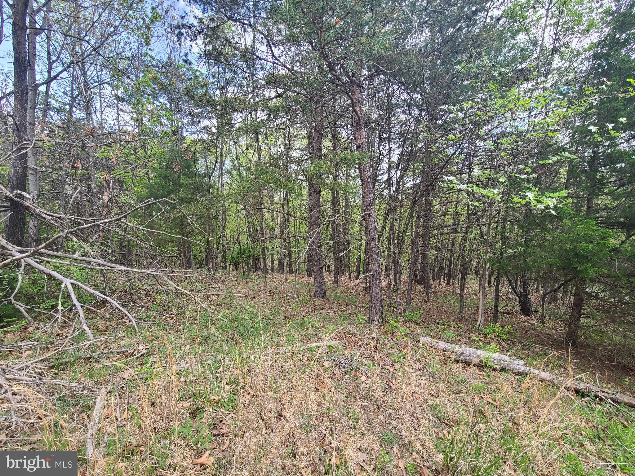 LONGVIEW SUBDIVISION - Land