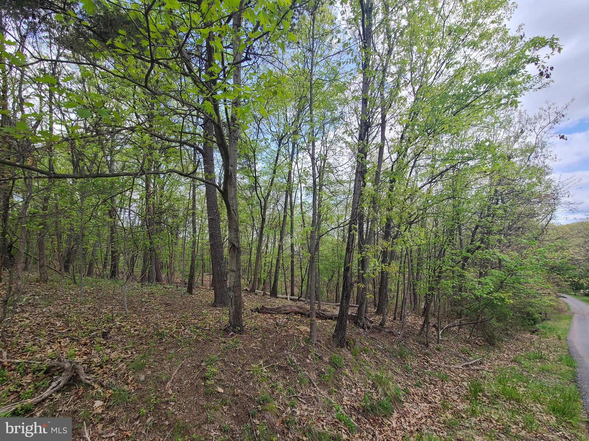 LONGVIEW SUBDIVISION - Land